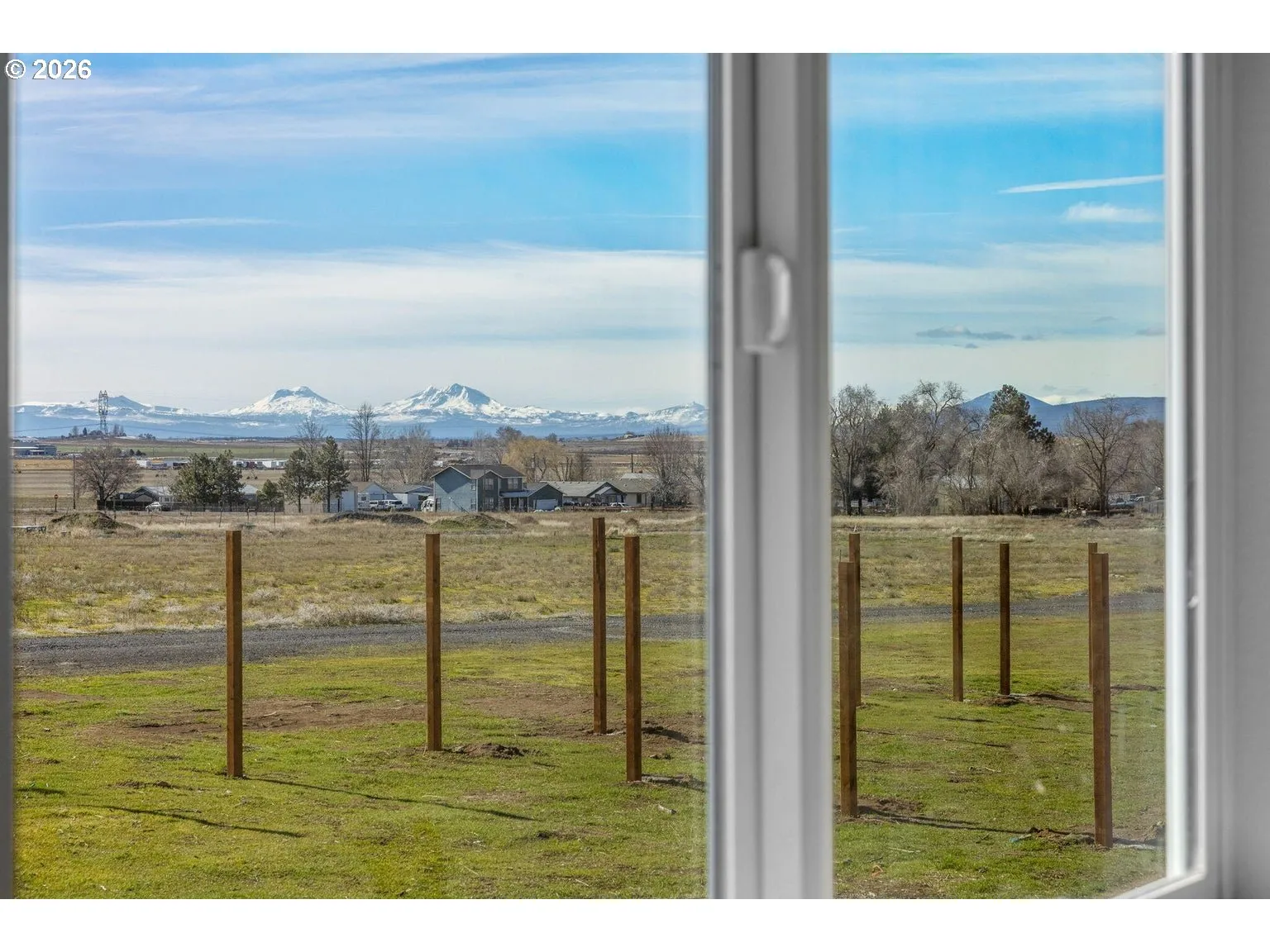 Backyard-View From