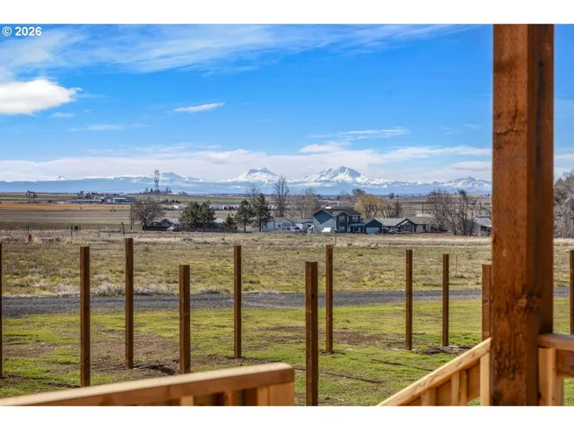 Backyard-View From