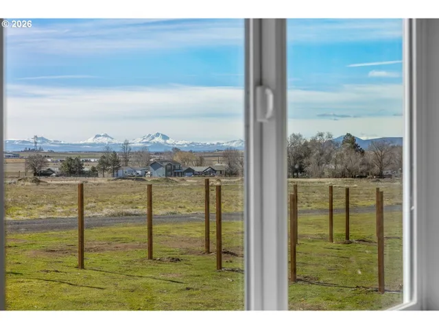 Backyard-View From