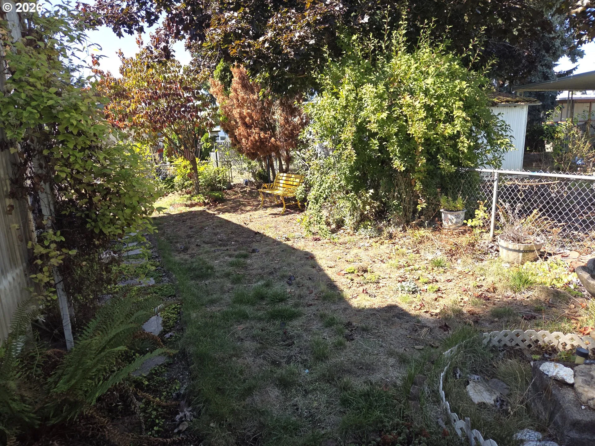 Backyard-Fenced