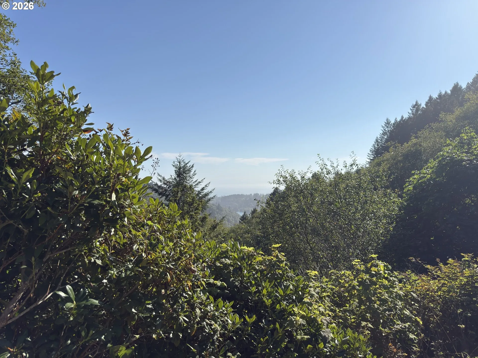 View-Beach/Ocean