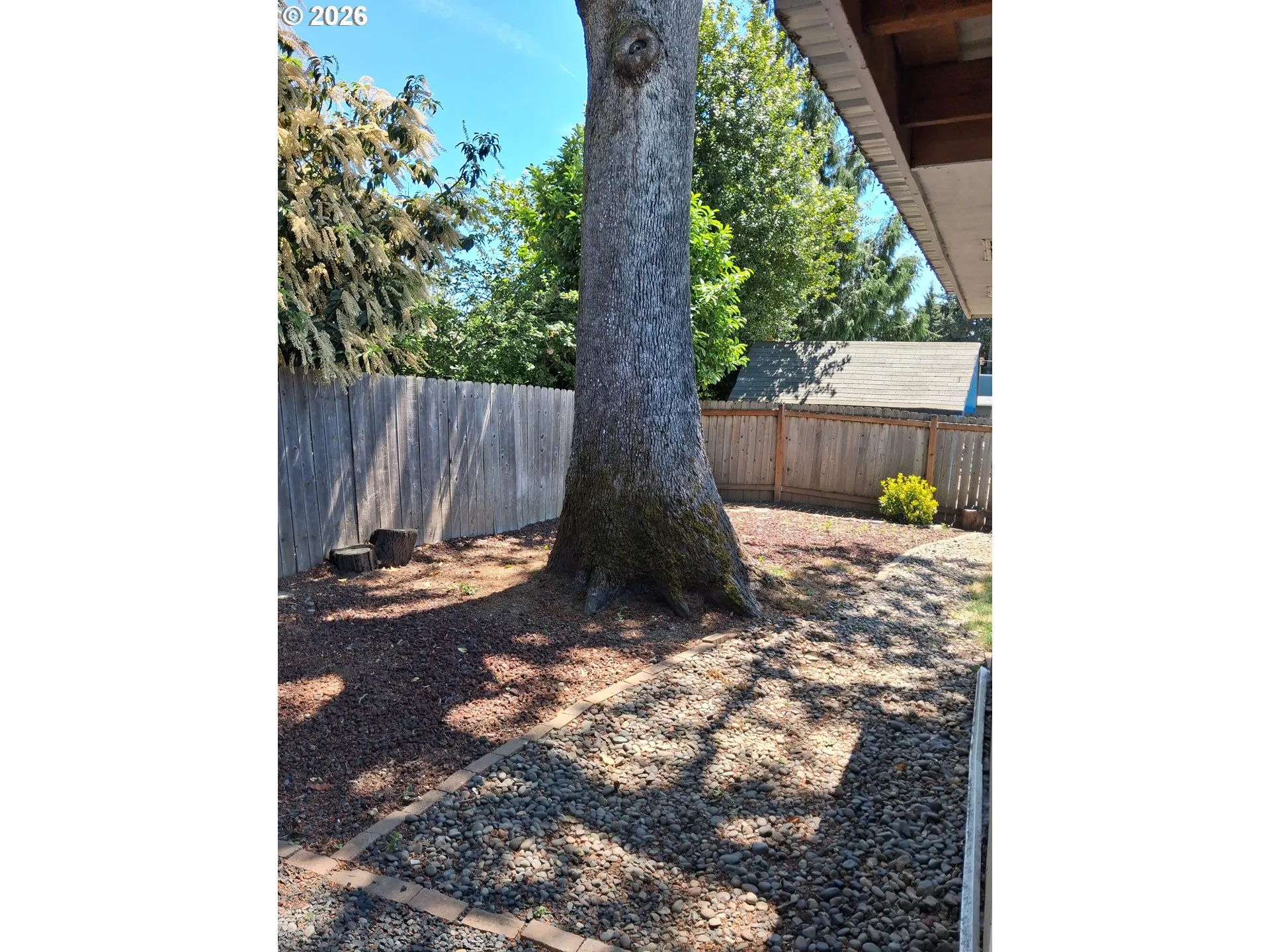 Backyard