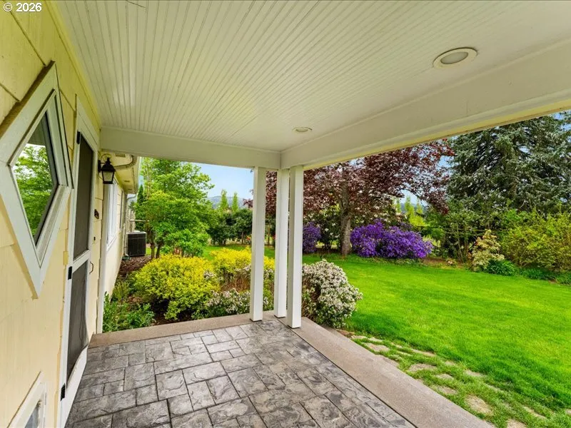 Front Yard