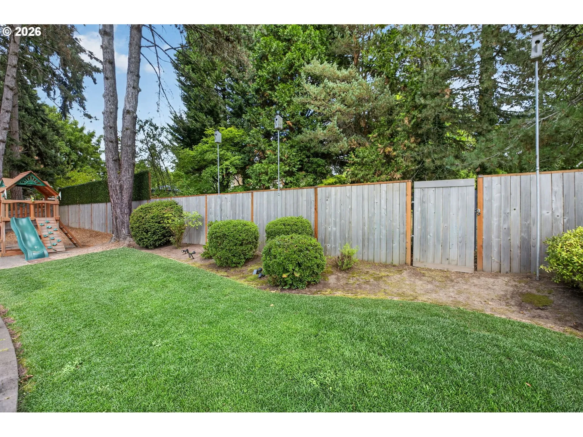 Backyard-Fenced