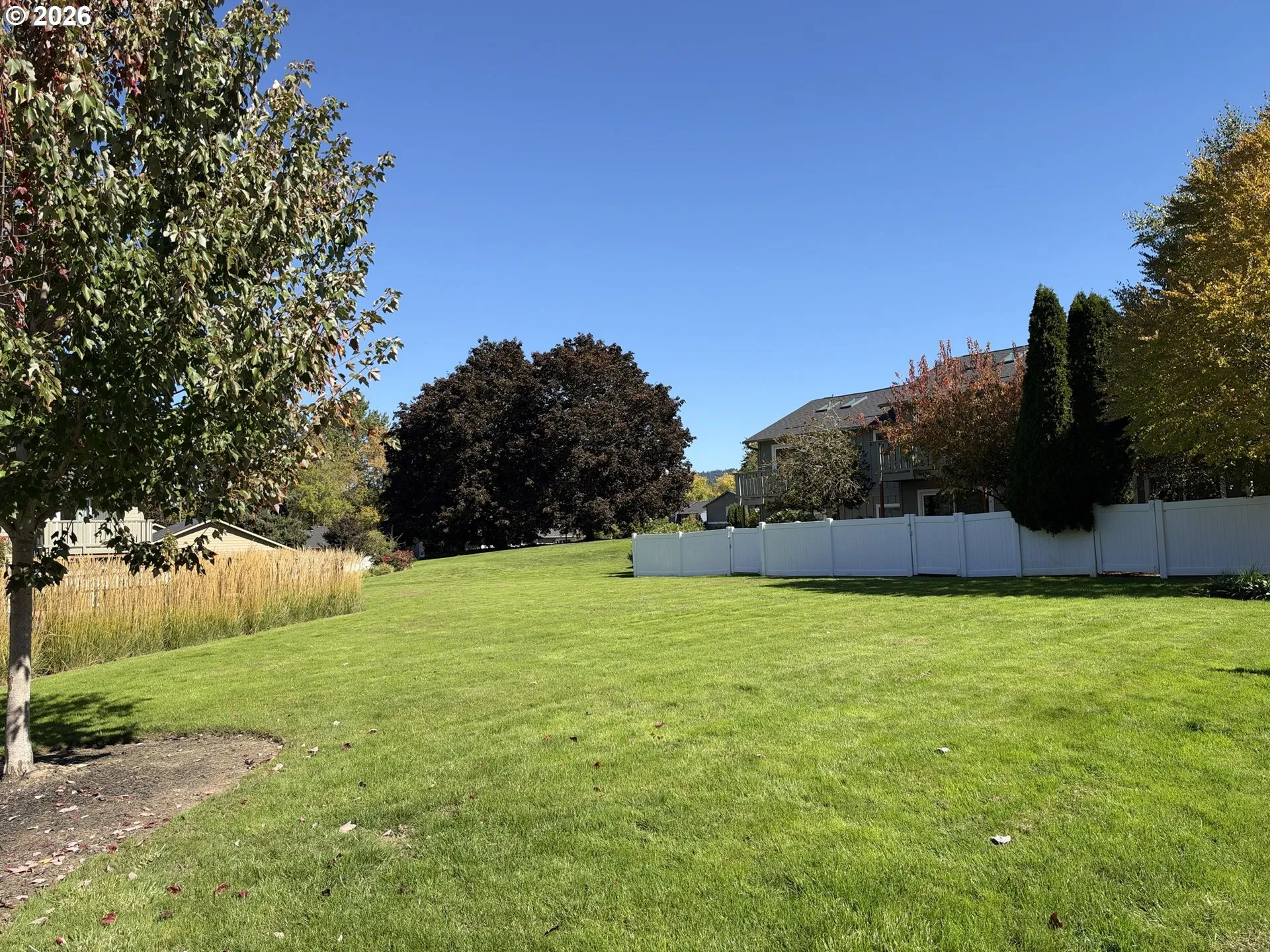 Community Park