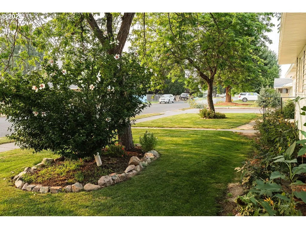 Front Yard