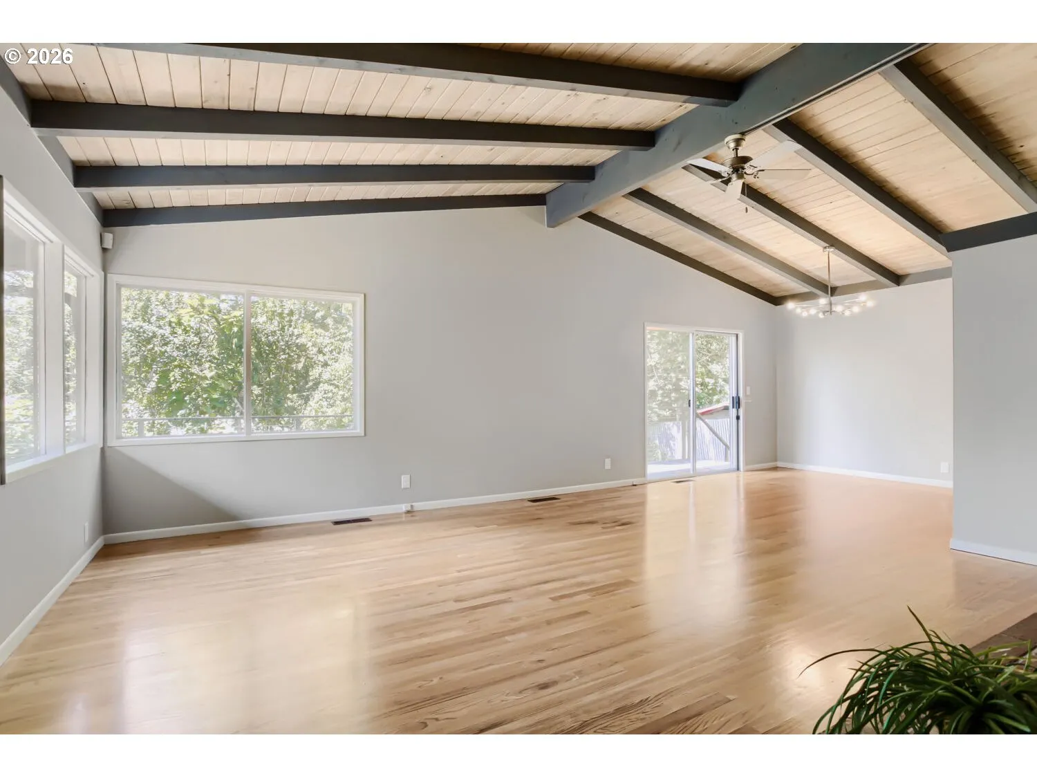 Dining Area-Ceiling Fan