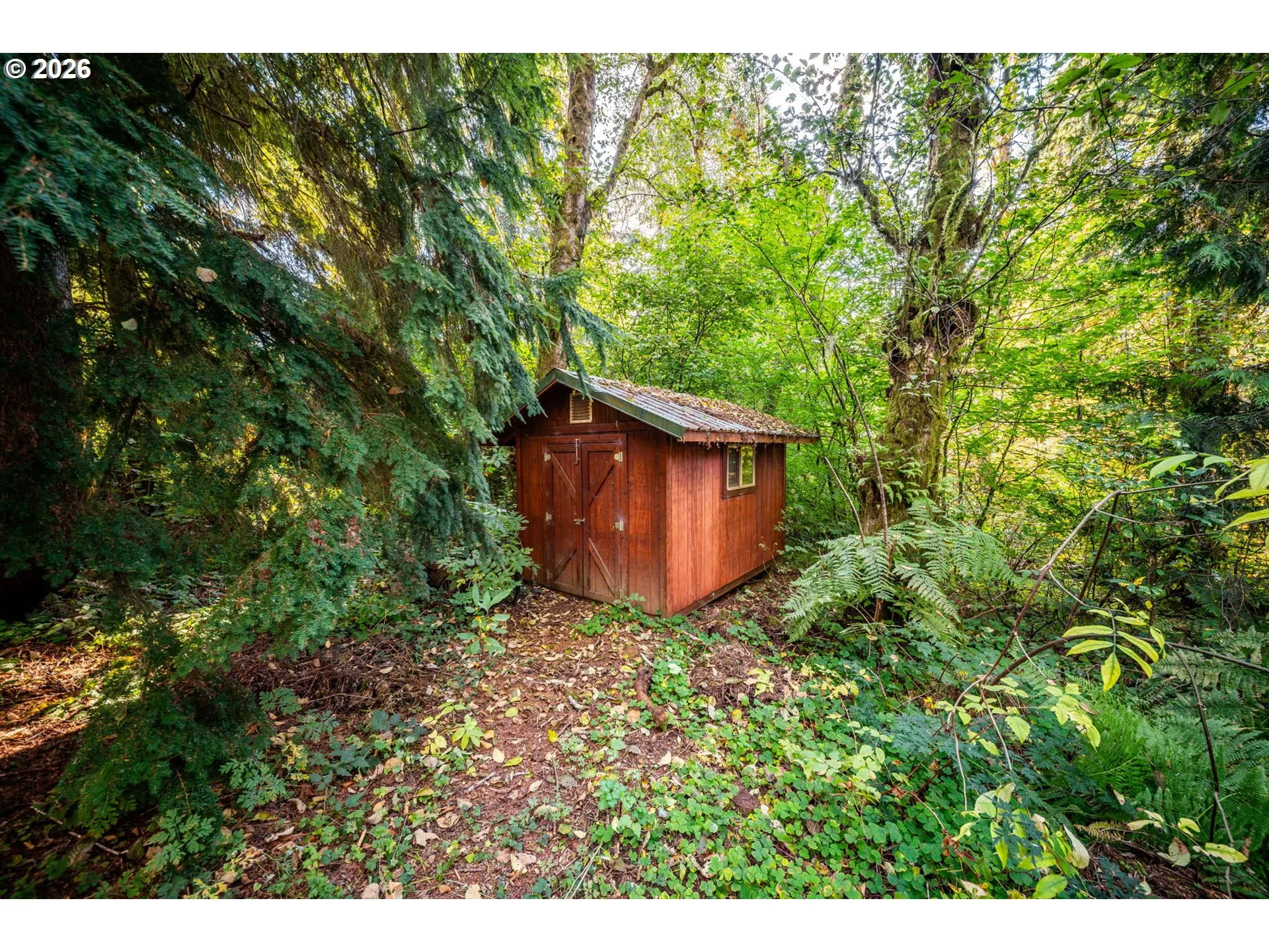 Shed