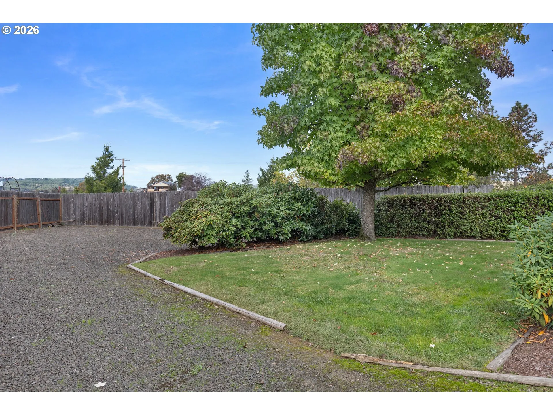 Backyard