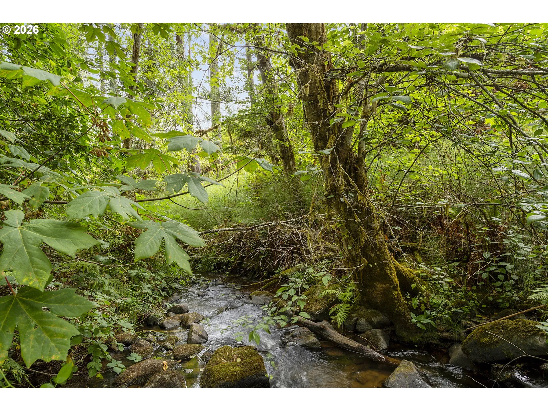 Creek