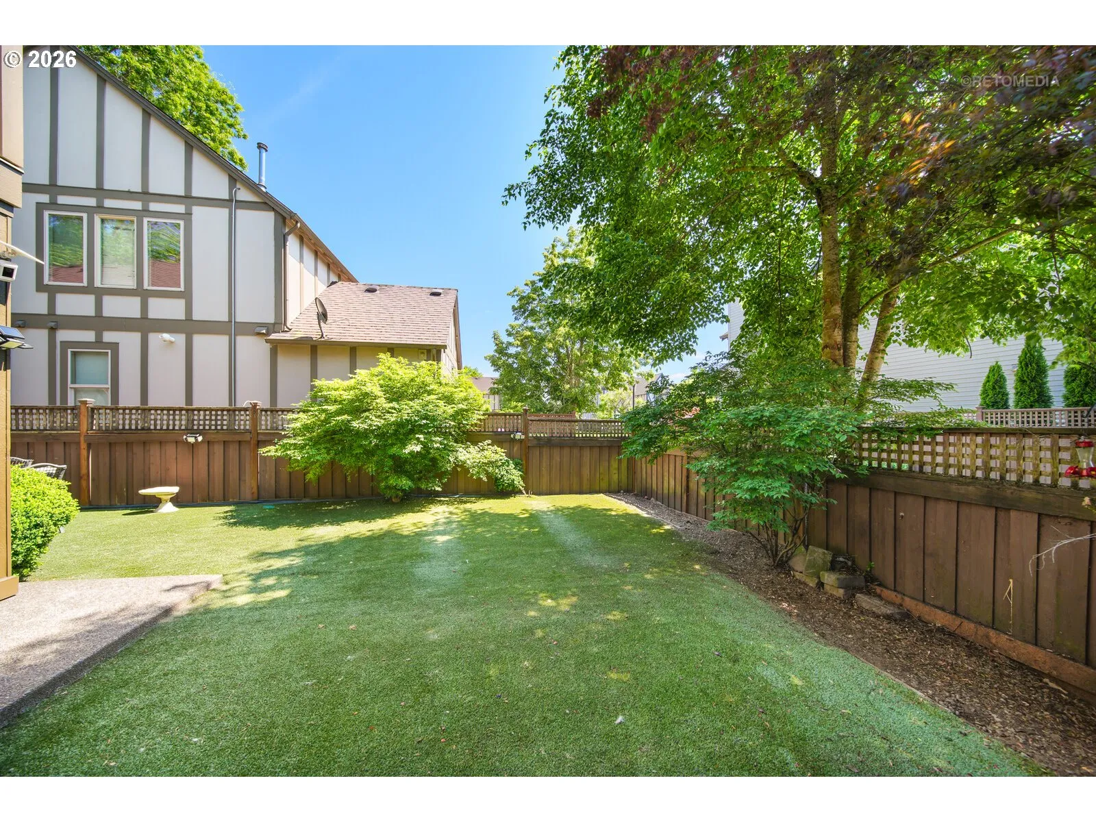 Backyard