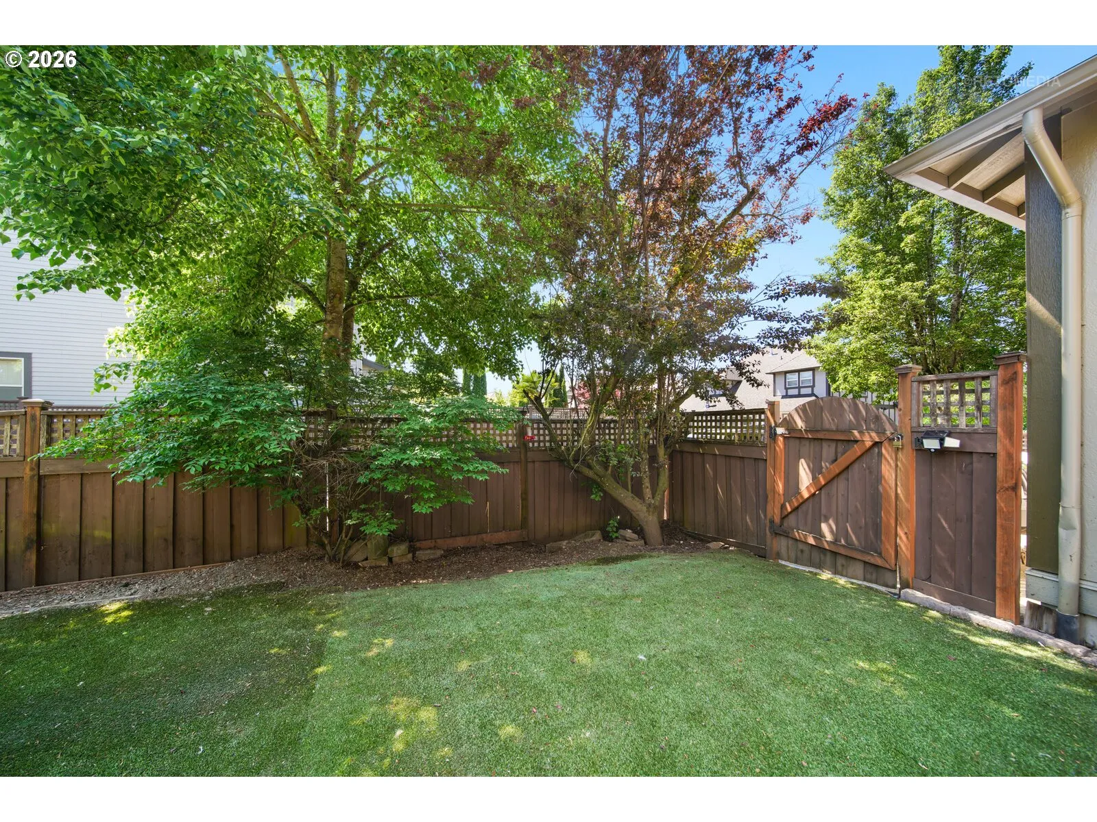 Backyard