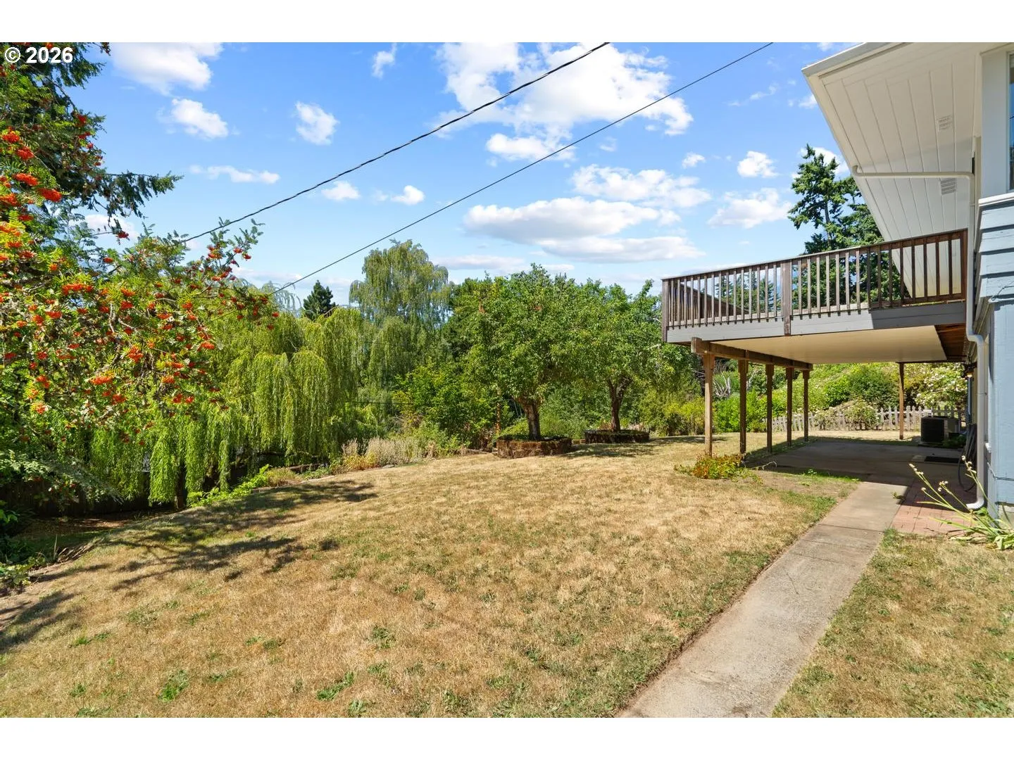 Backyard