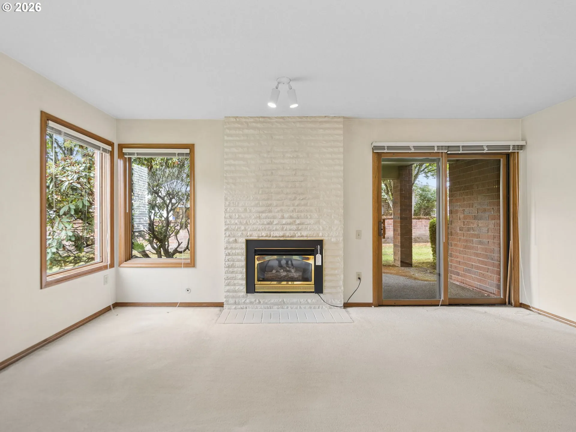 Living Room-Fireplace