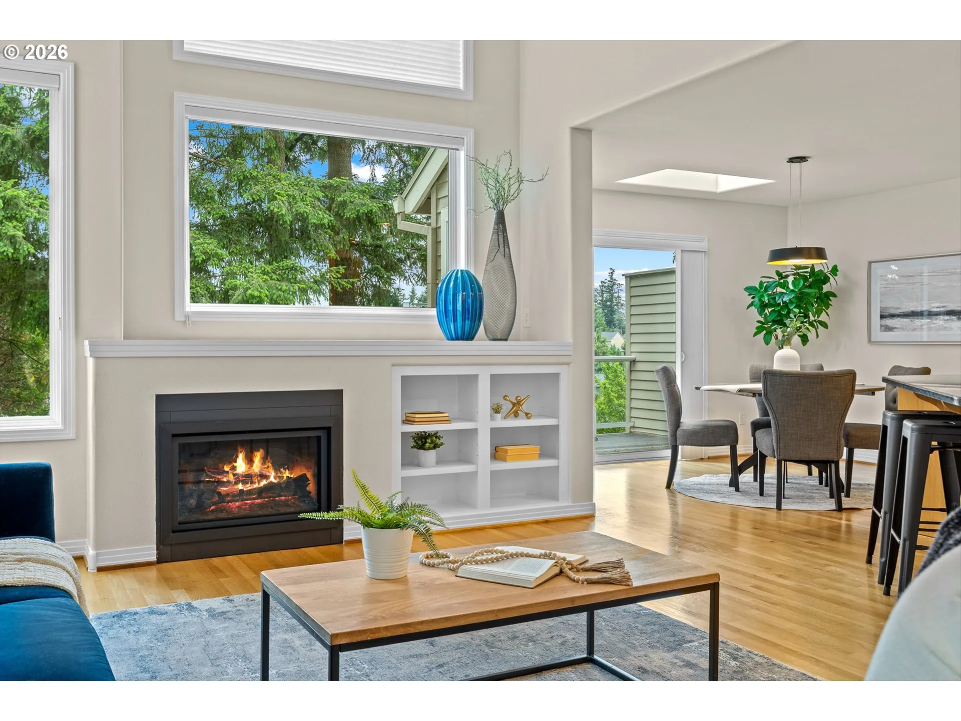 Fireplace Gas