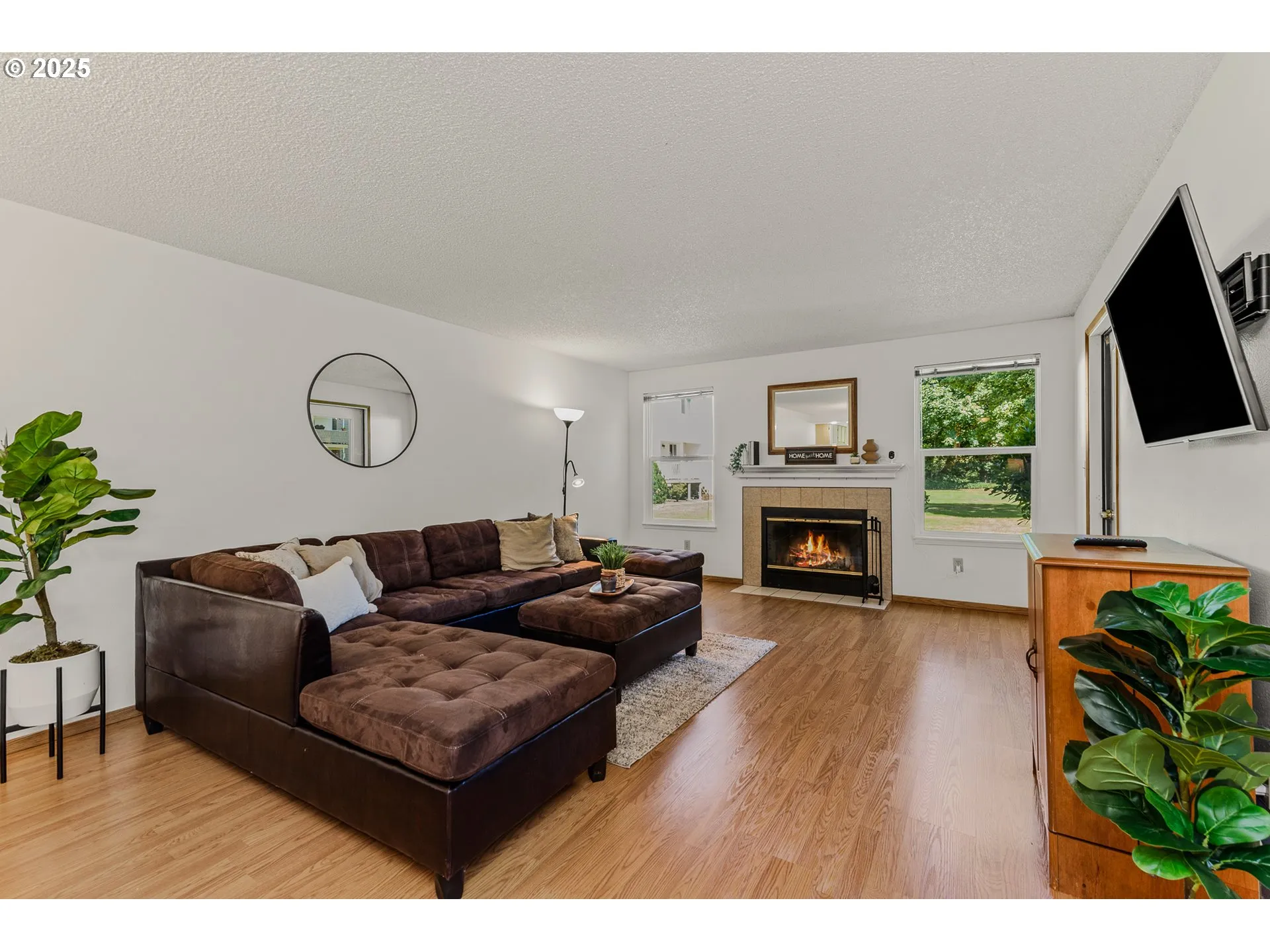 Living Room-Fireplace