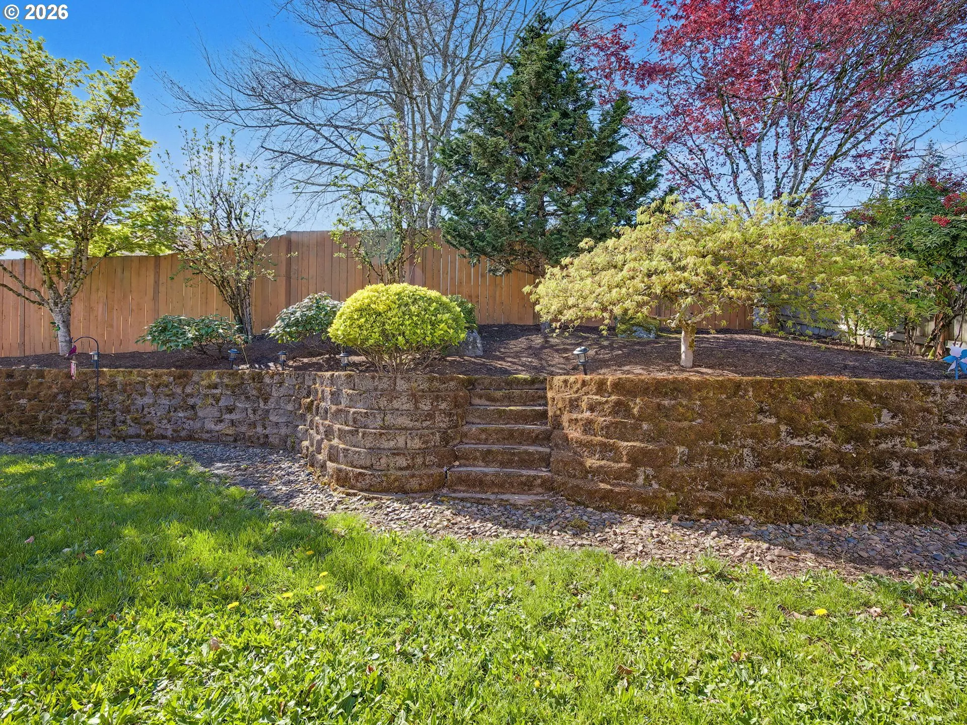 Backyard-Fenced