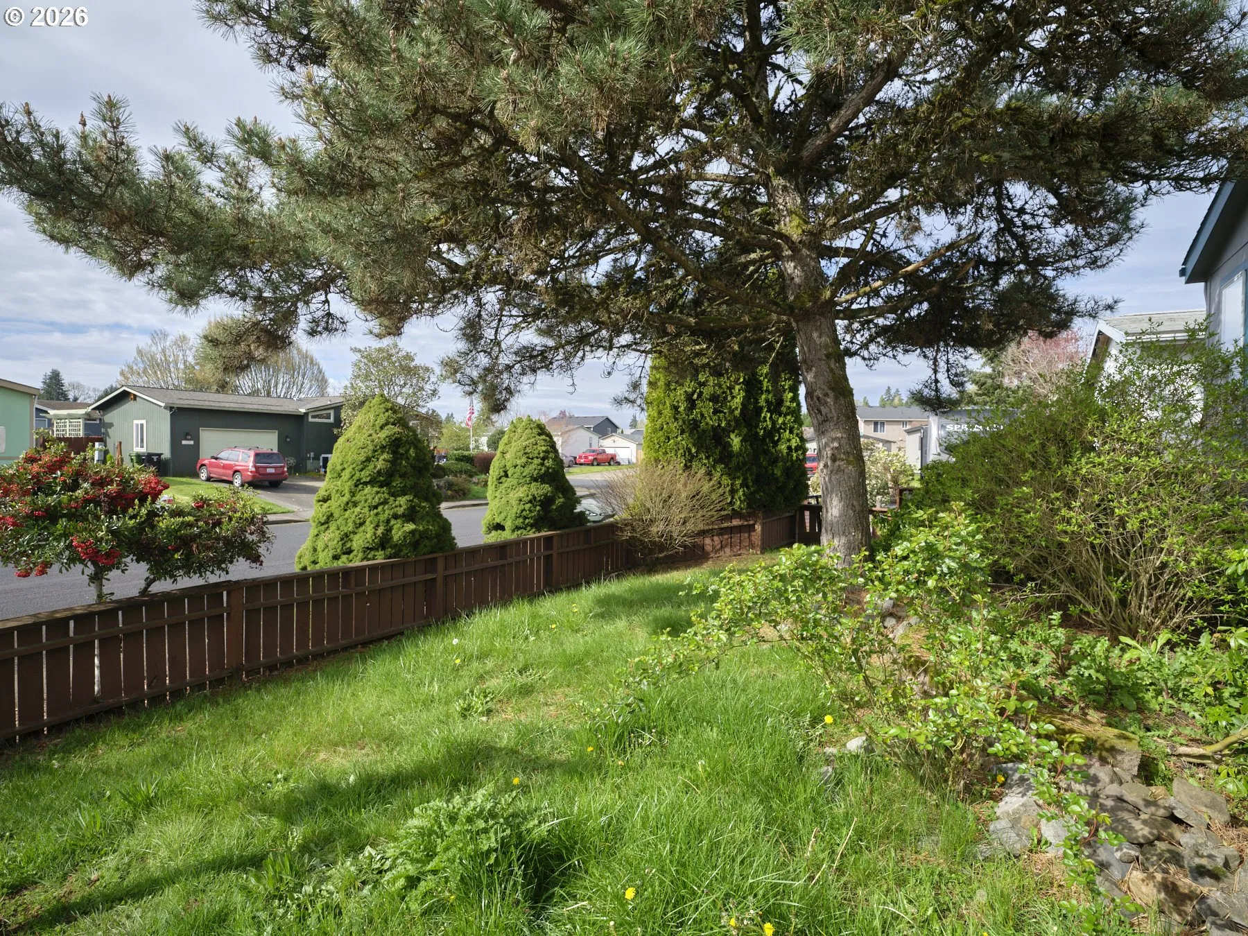 Front Yard