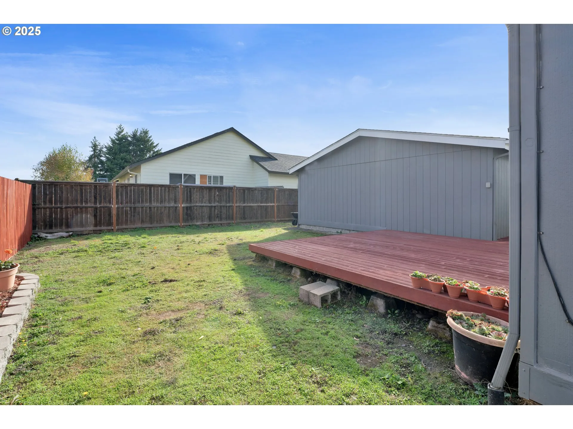 Backyard