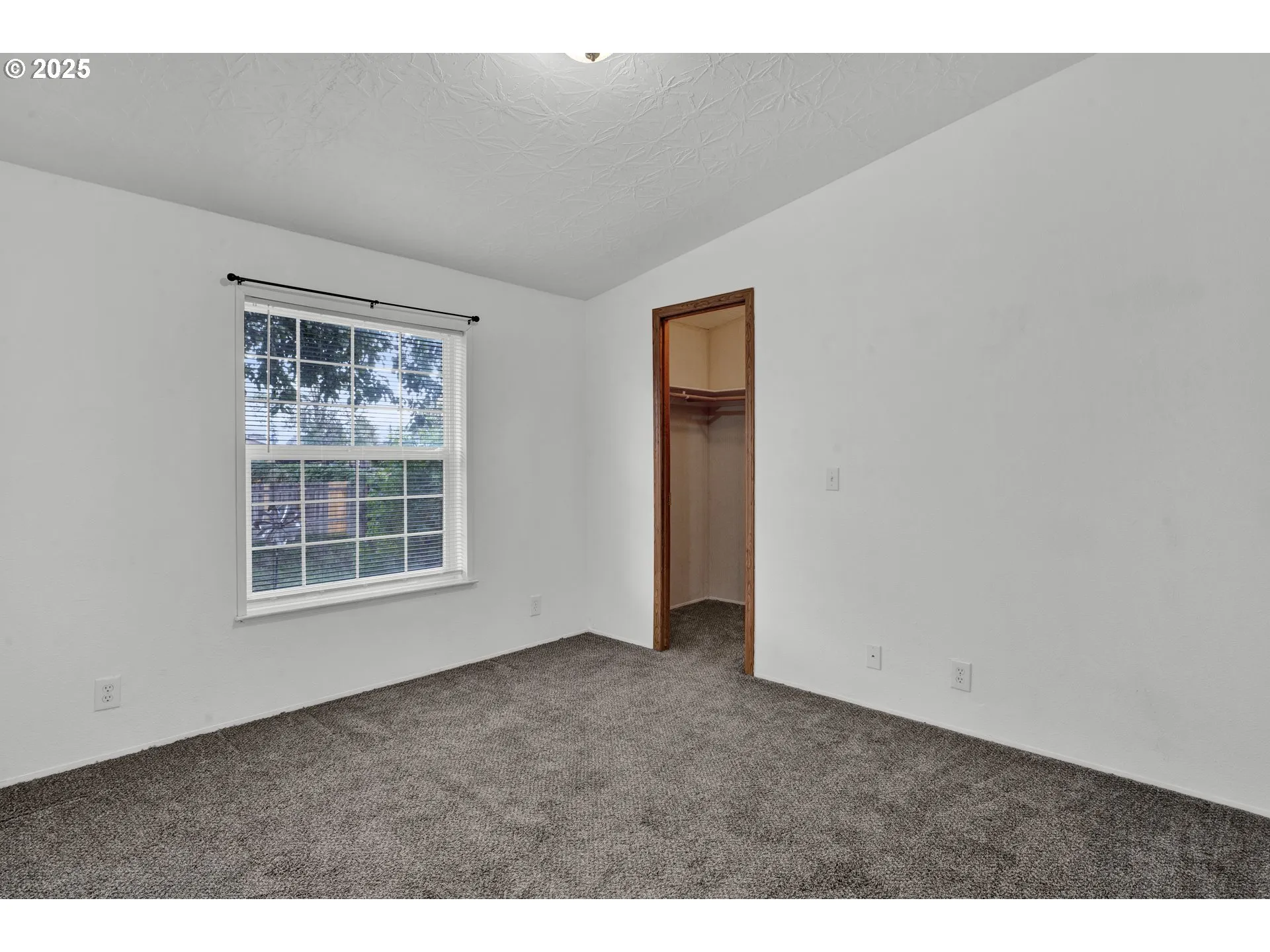 Bedroom-Walk-In Closet