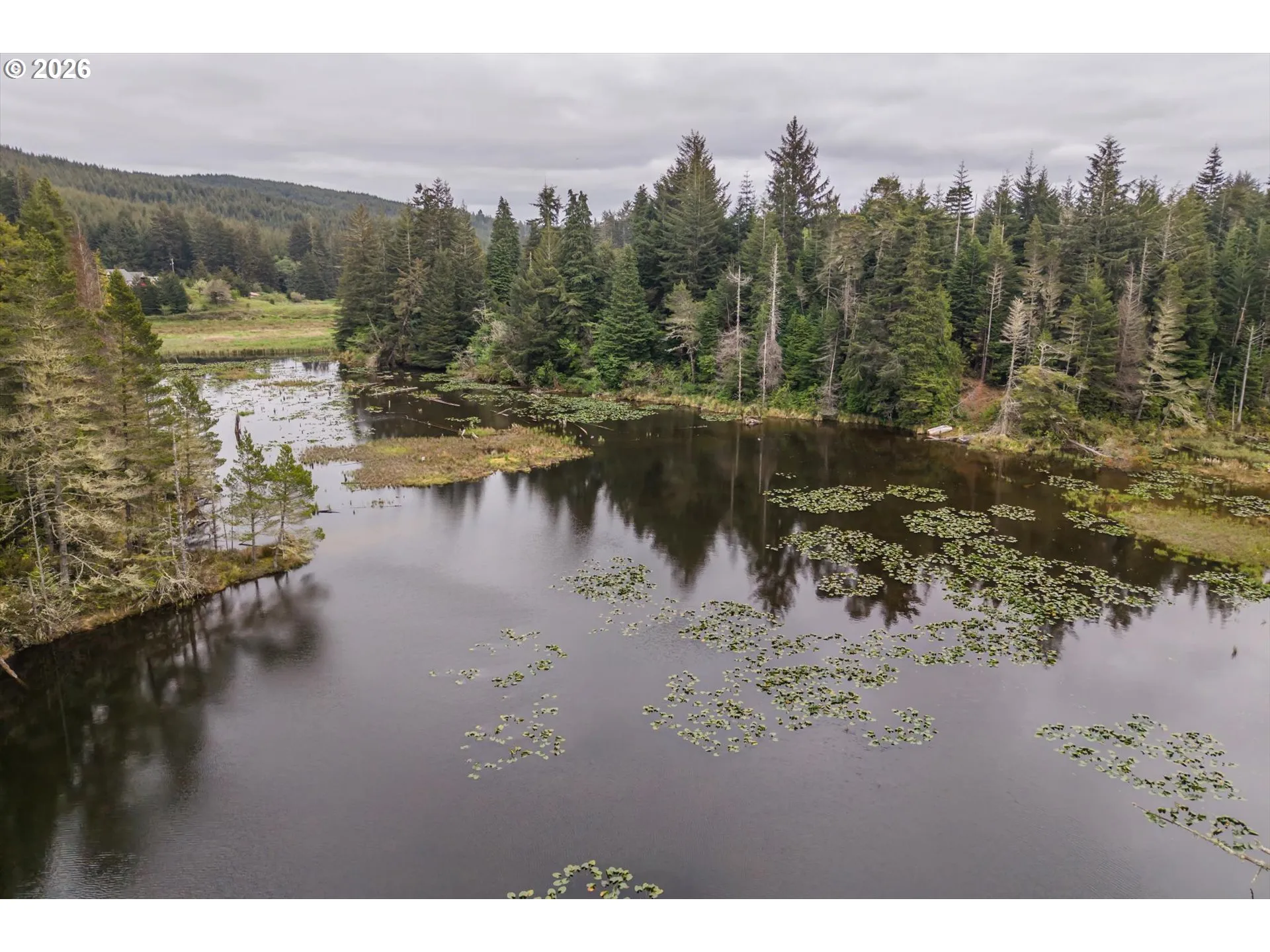 Pond