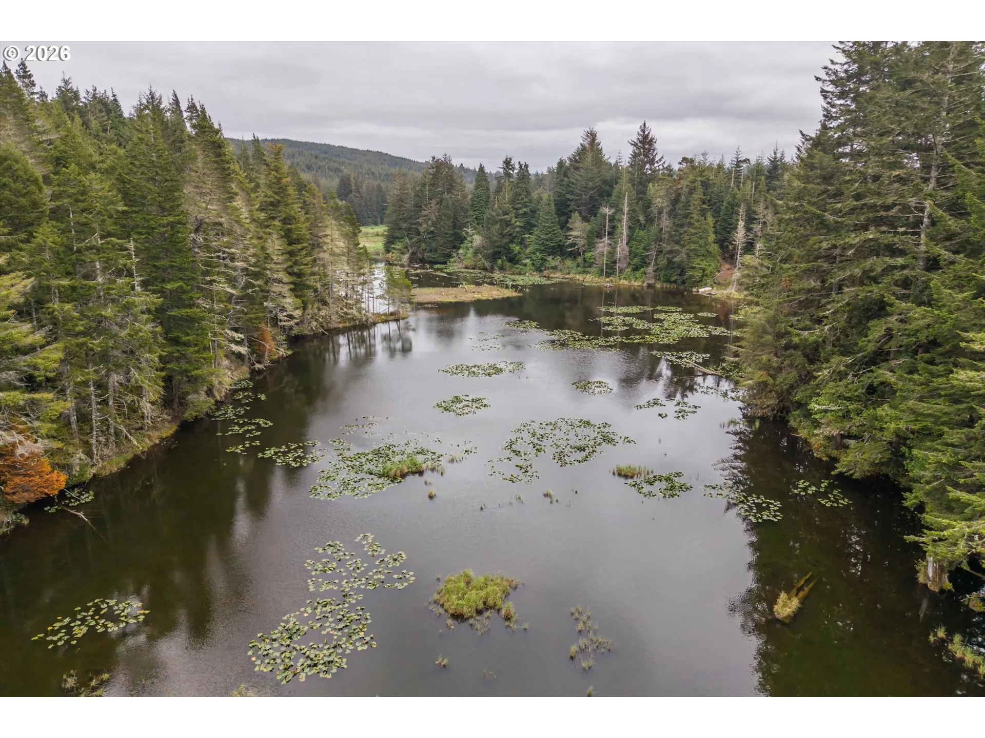 Pond
