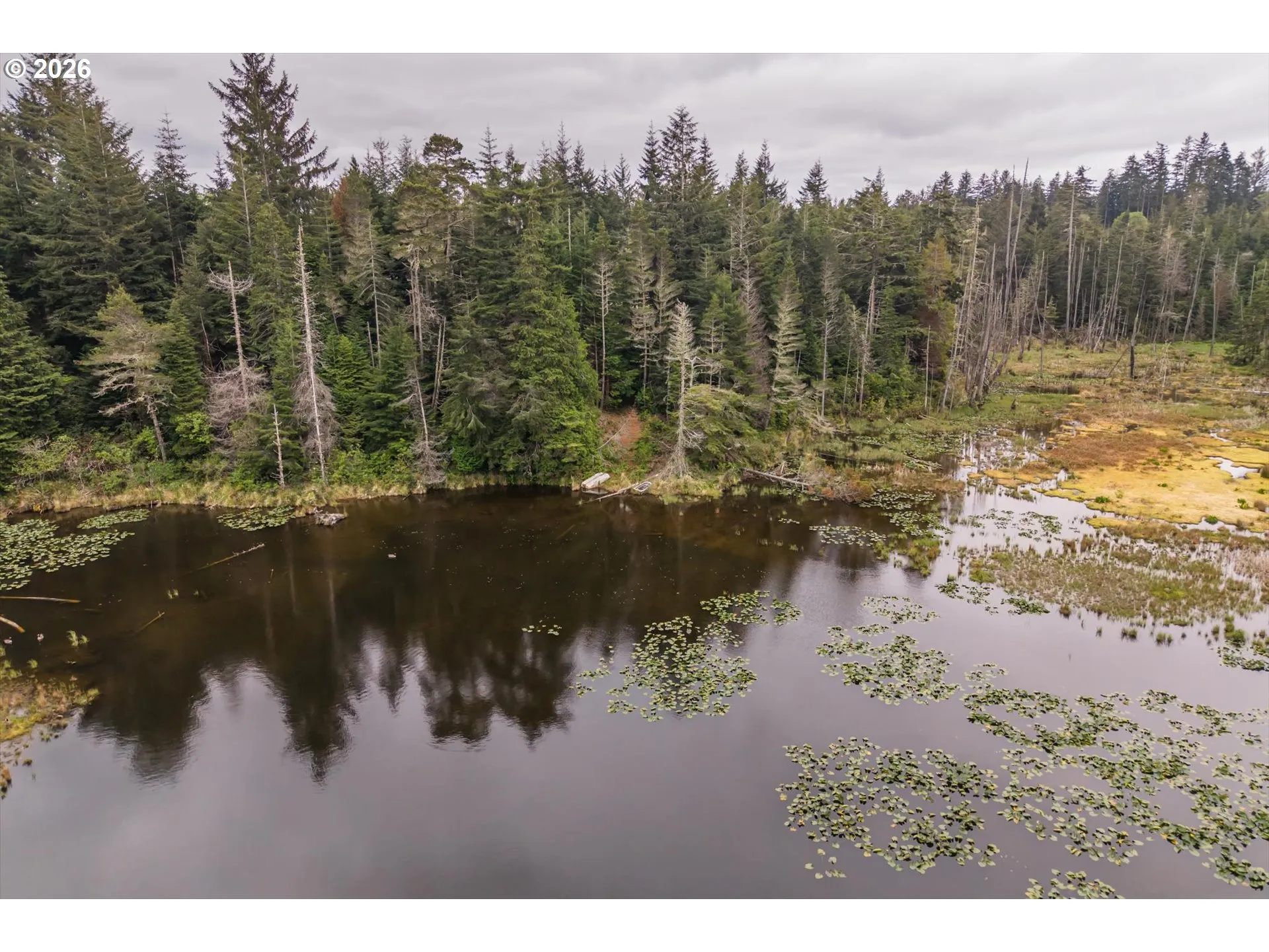 Pond