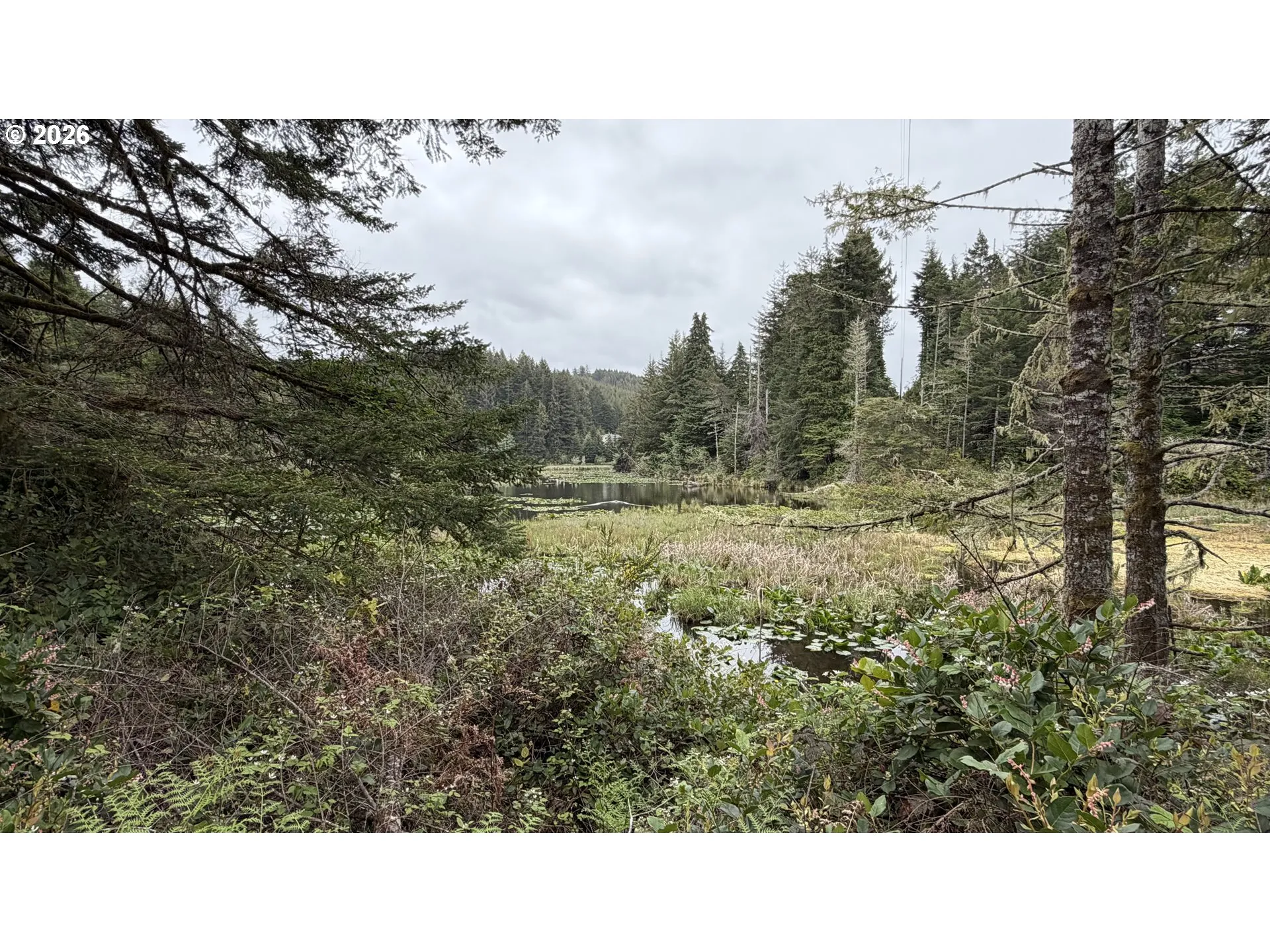Pond