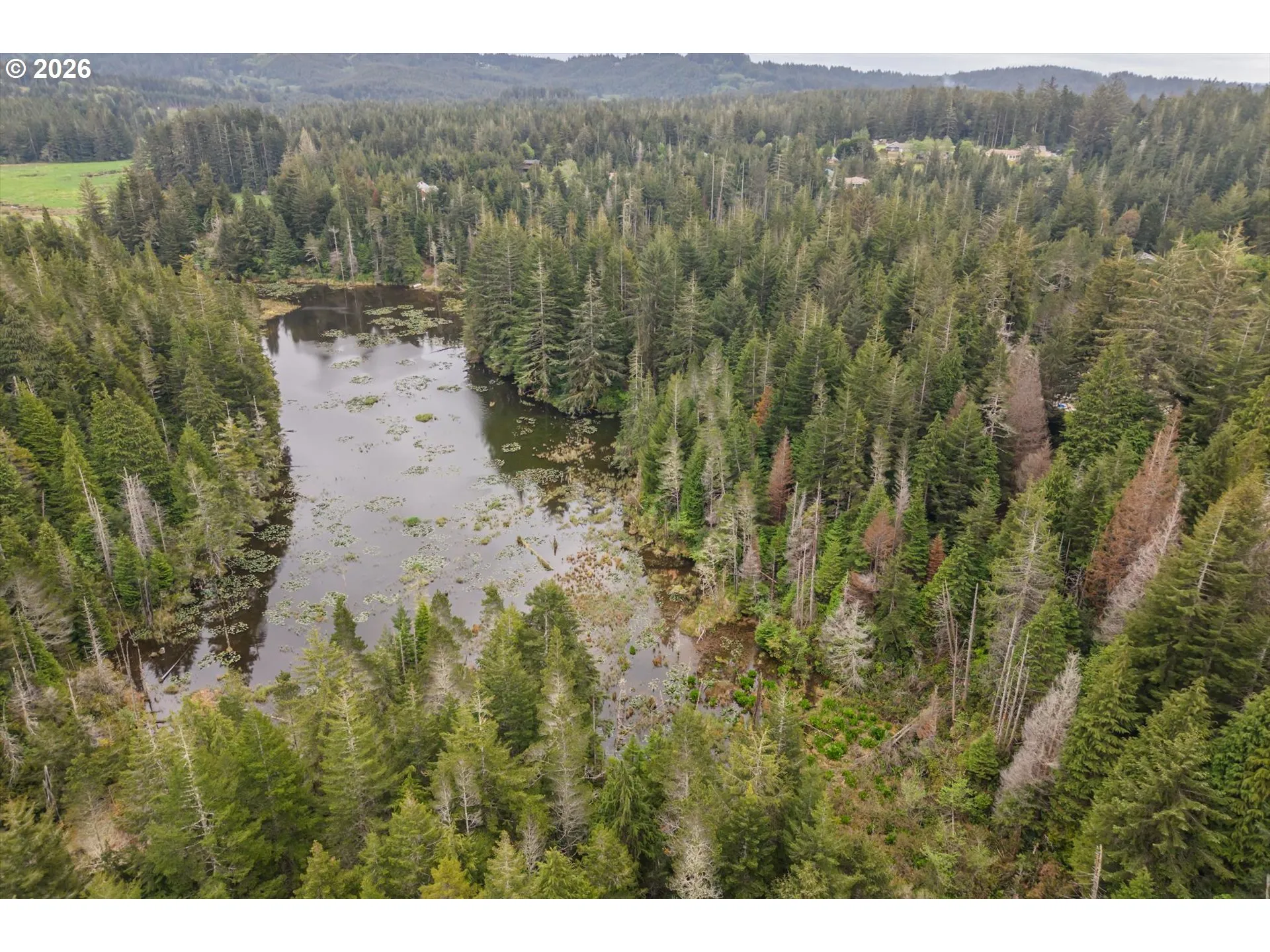Pond