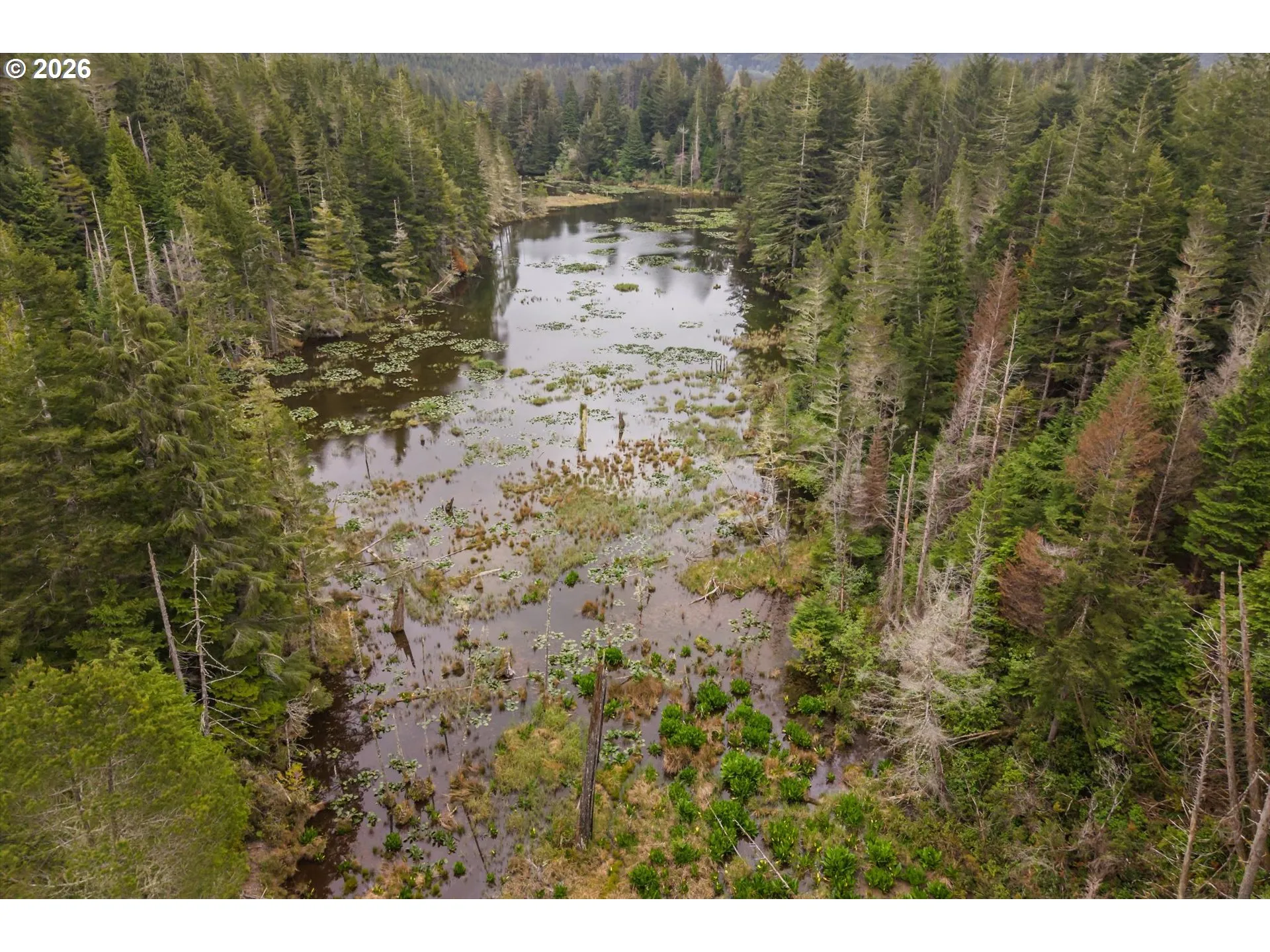 Pond