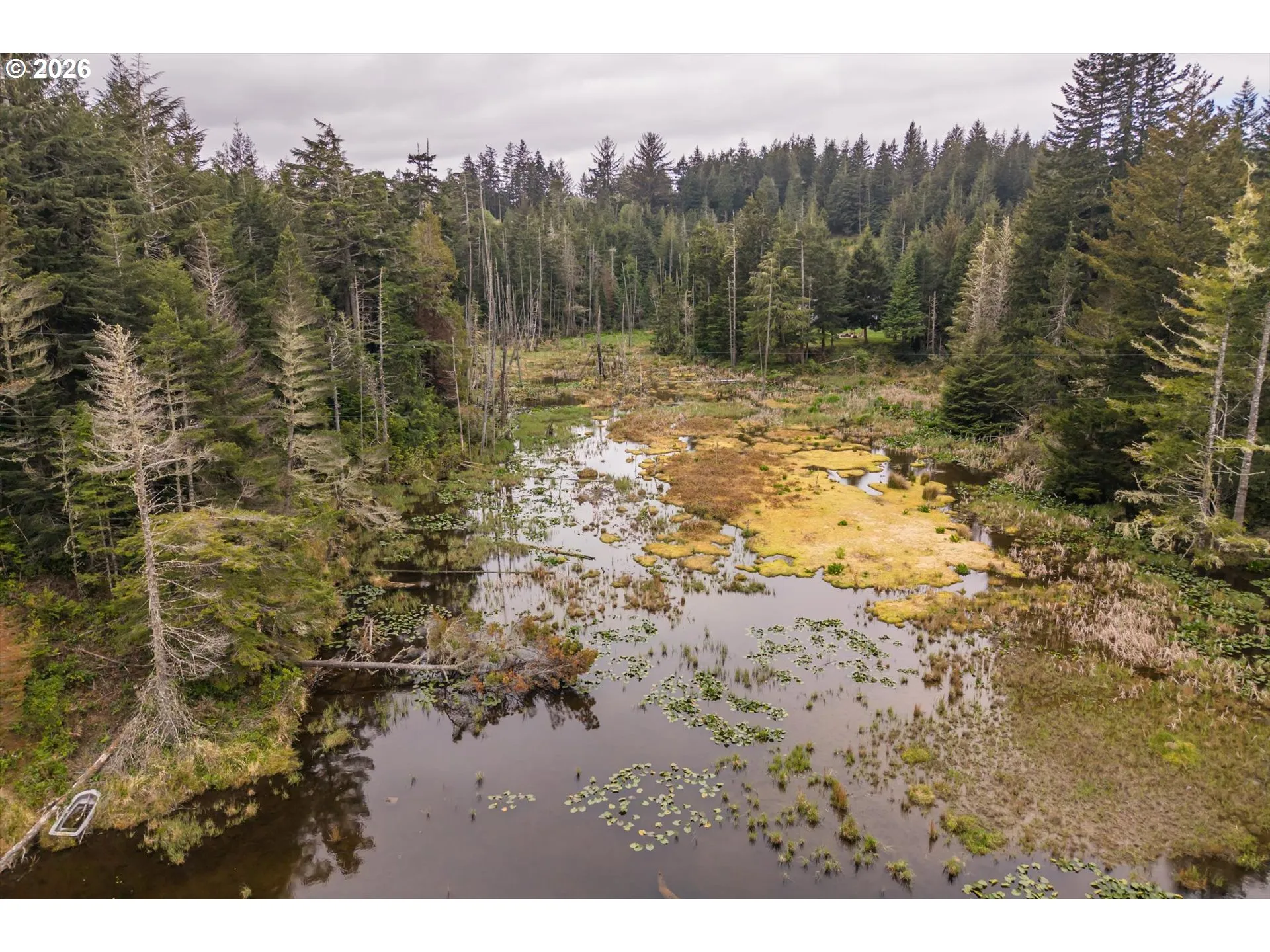 Pond