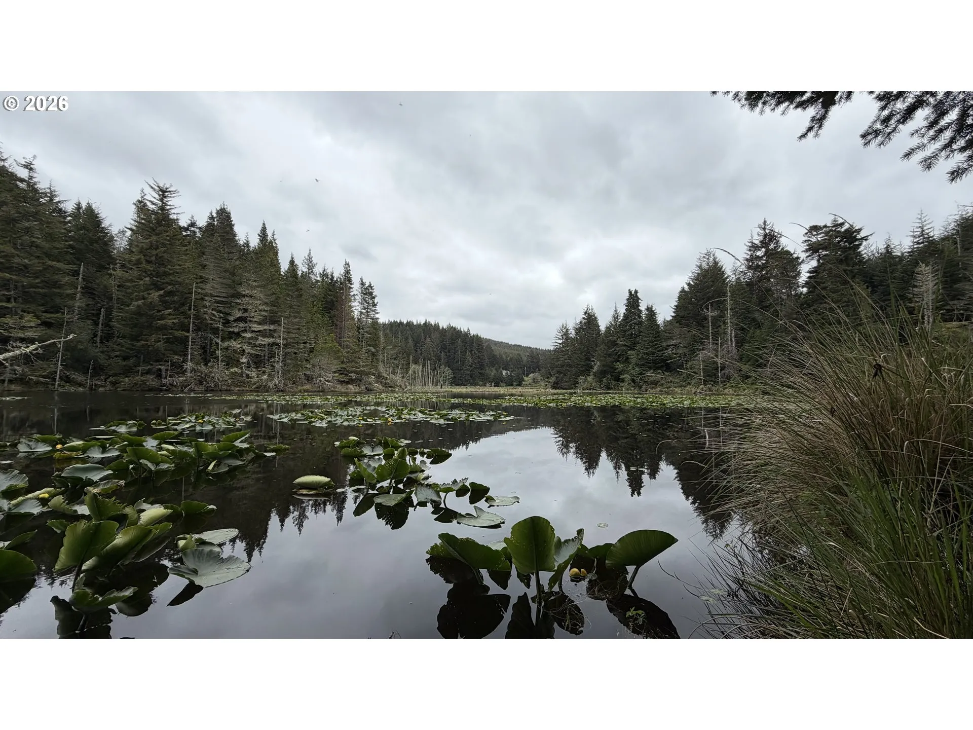 Pond