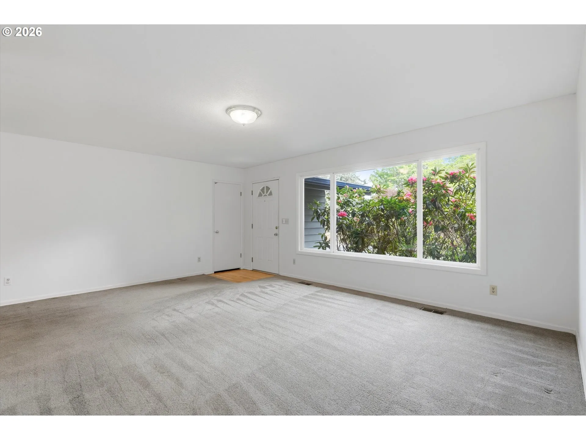 Living Room/Entrance