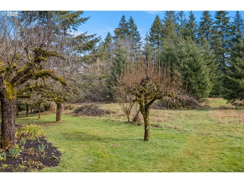 Yard-Trees
