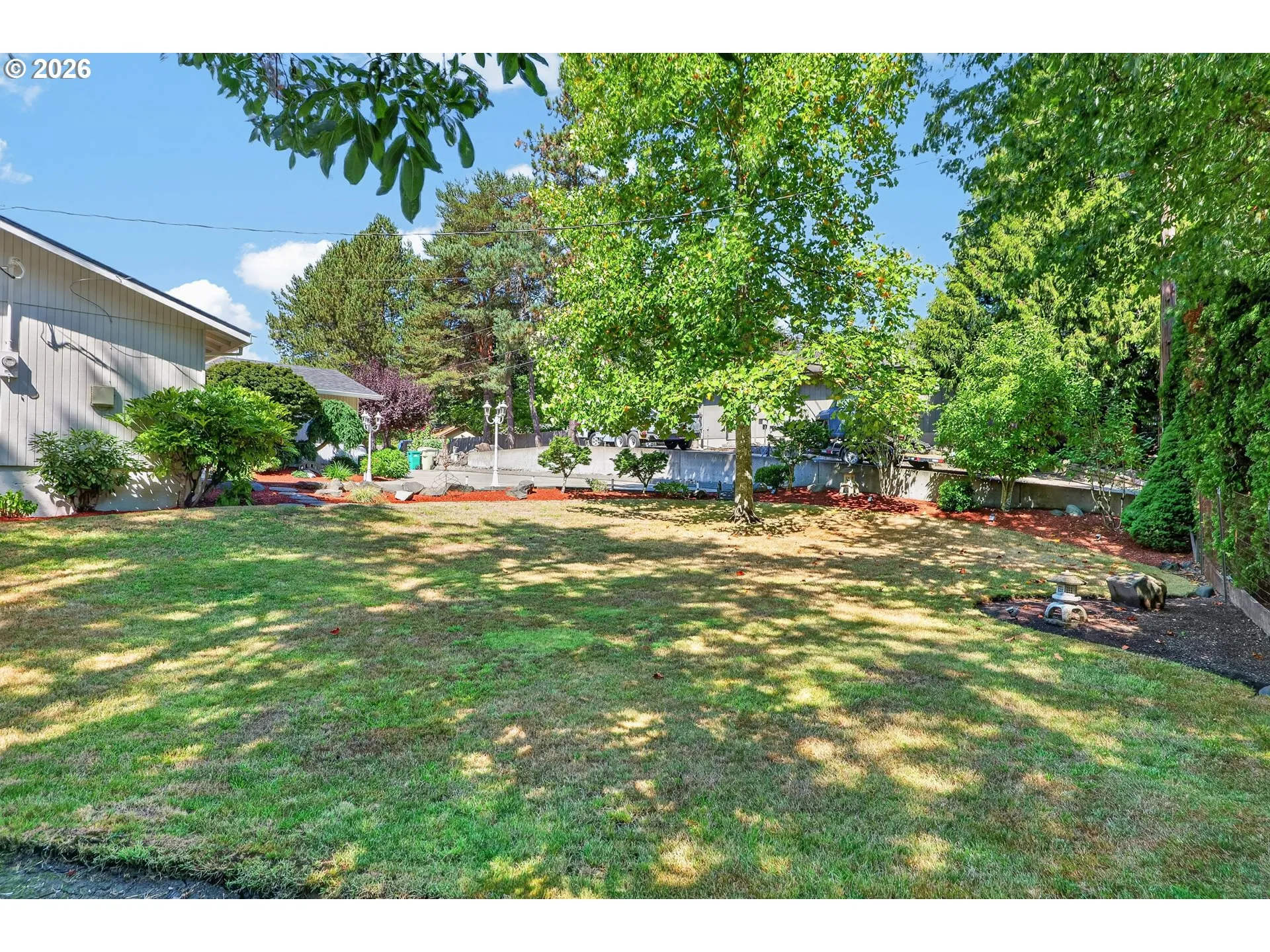 Backyard-View From