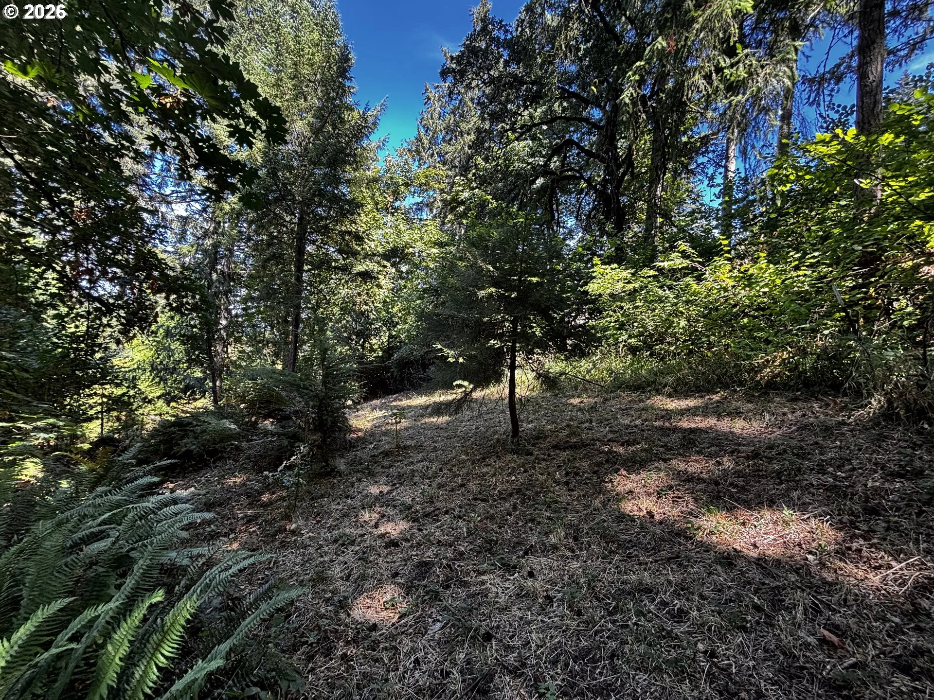 Backyard-Fenced