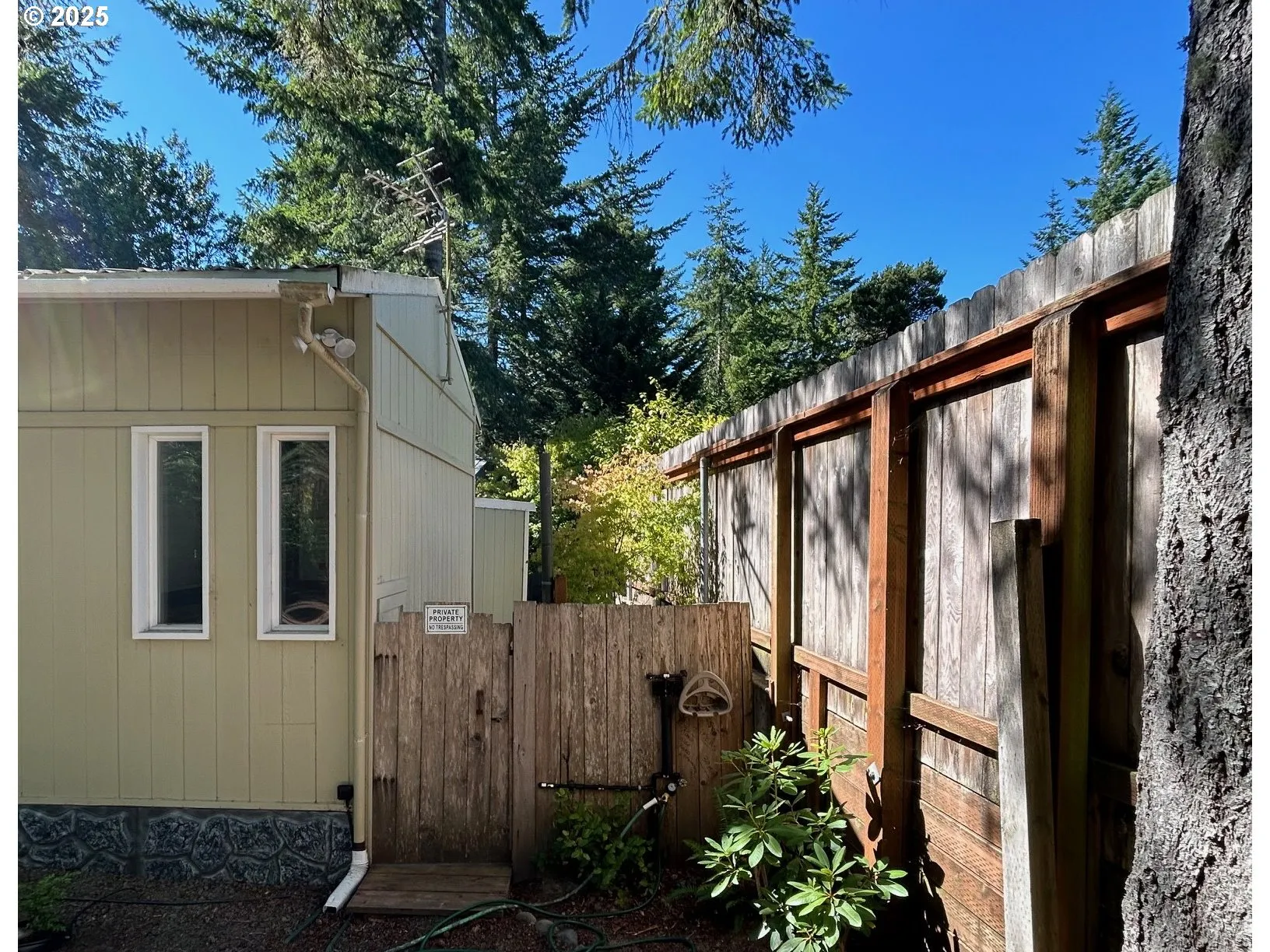 Backyard-Fenced