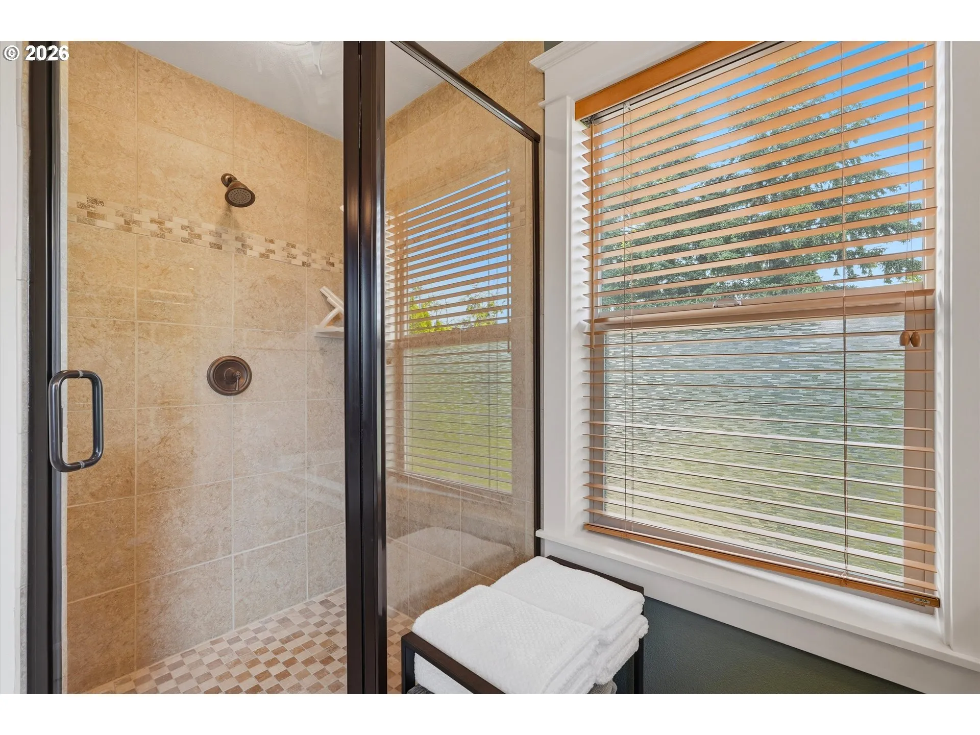Owner's Suite Bathroom-Walk in Shower
