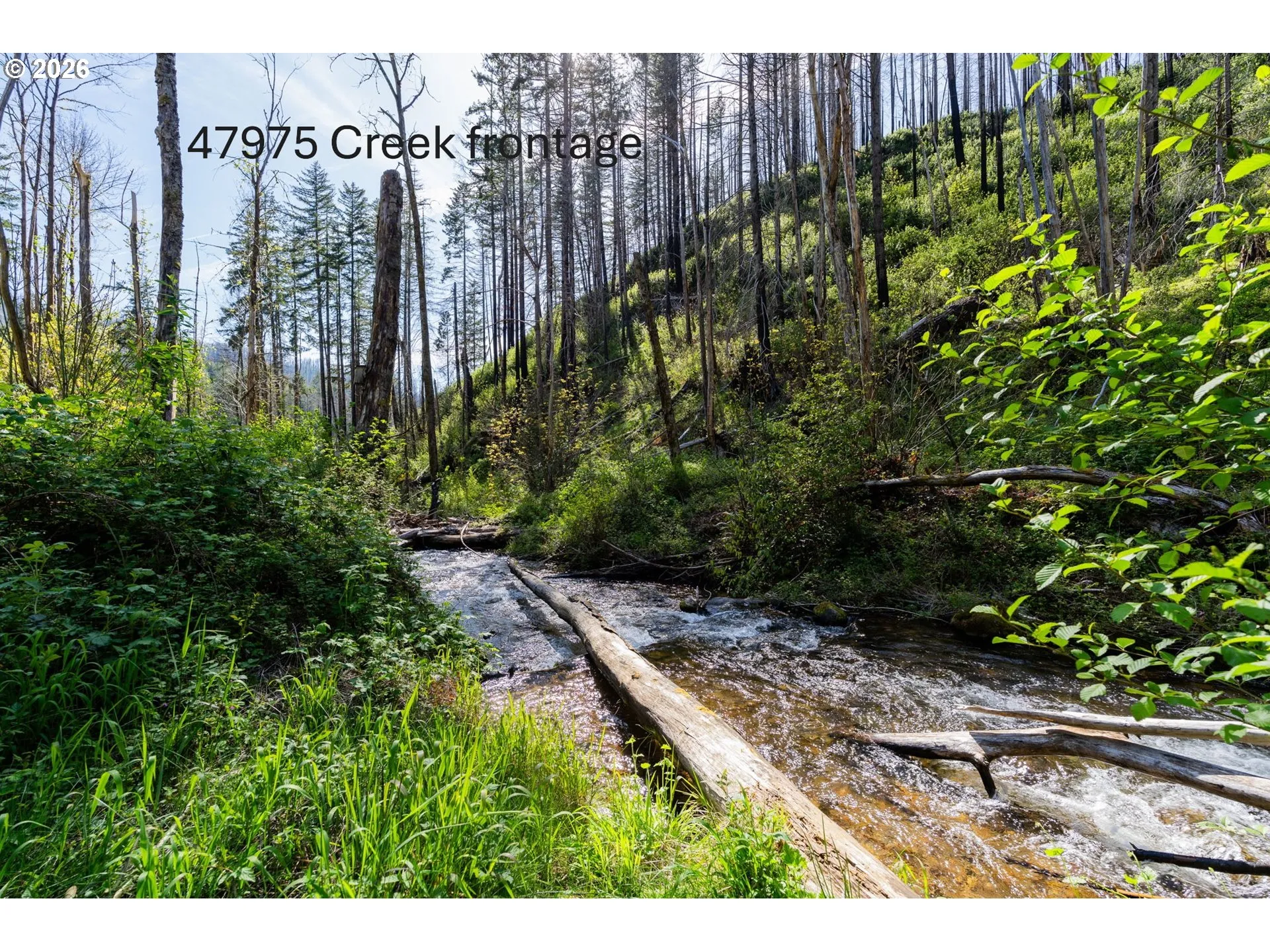Creek-Front