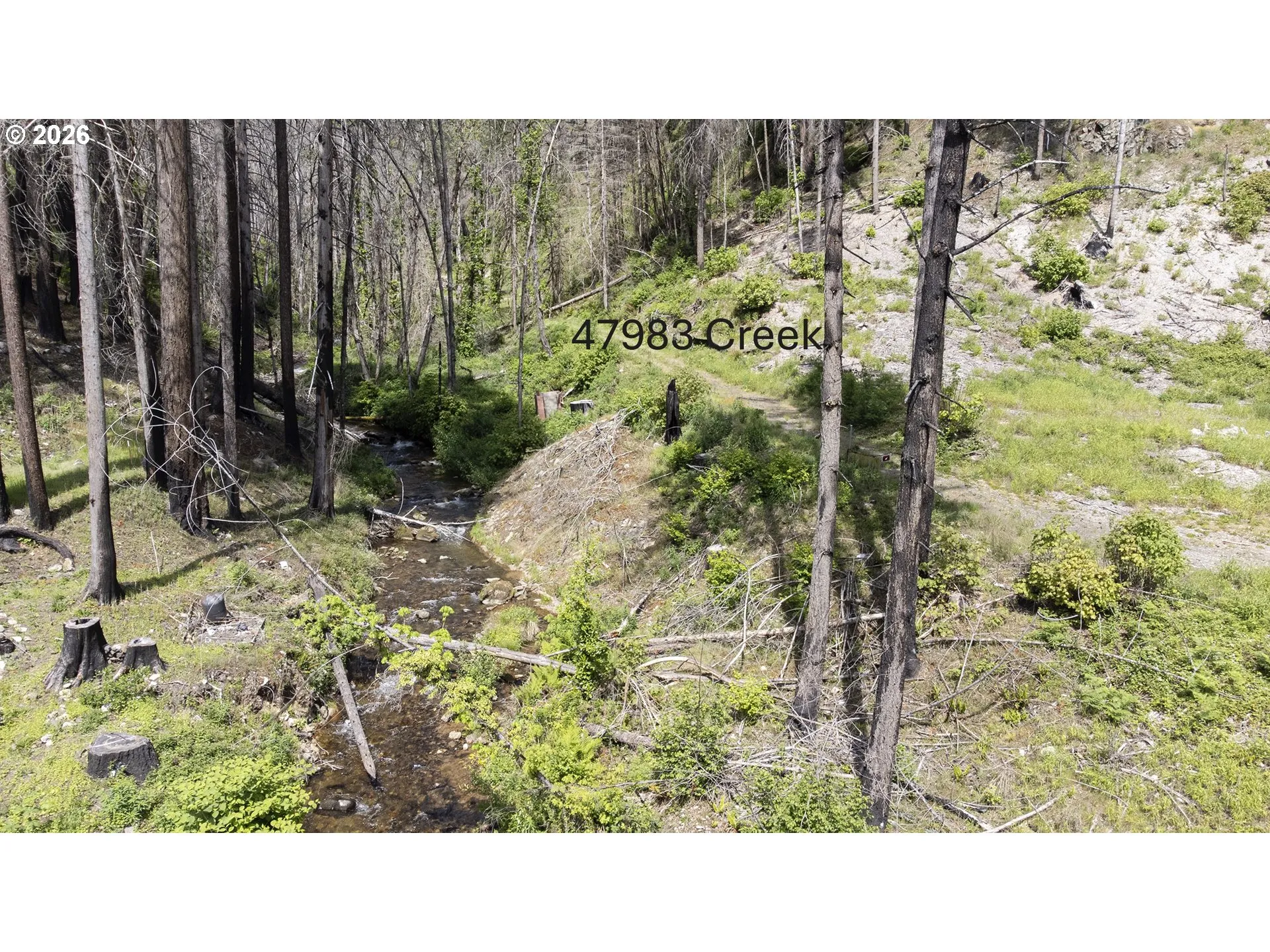 Creek-Year Round
