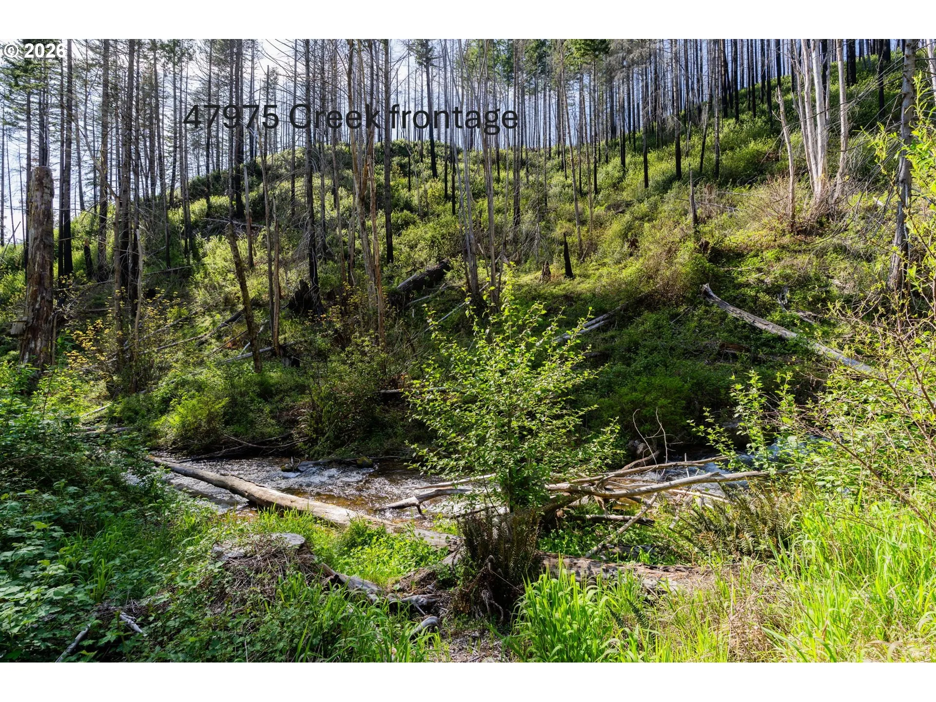 Creek-Front