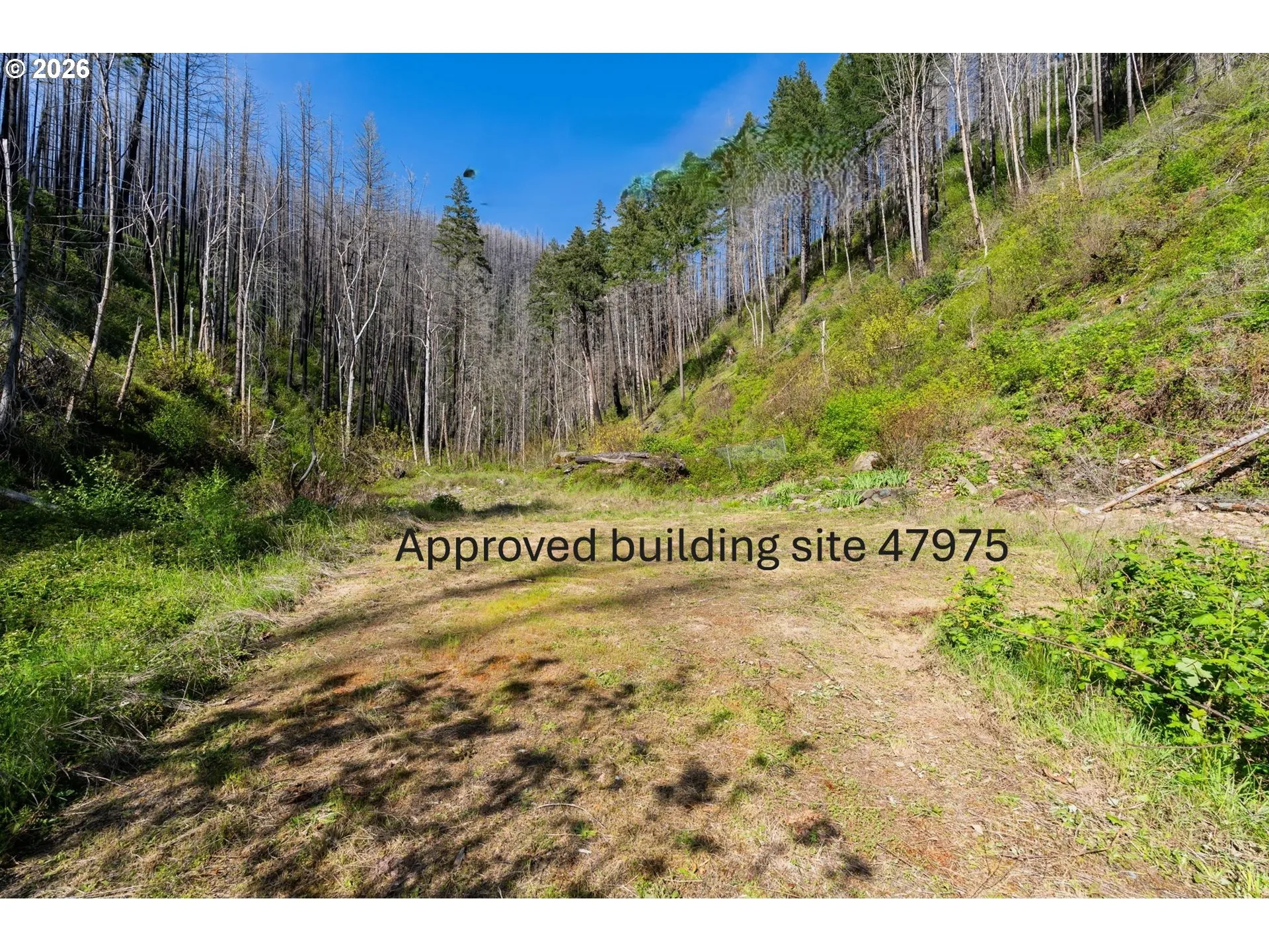 Buildable Area