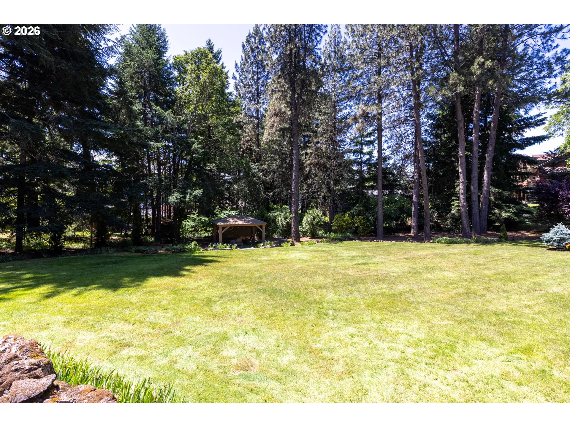 Backyard-View From