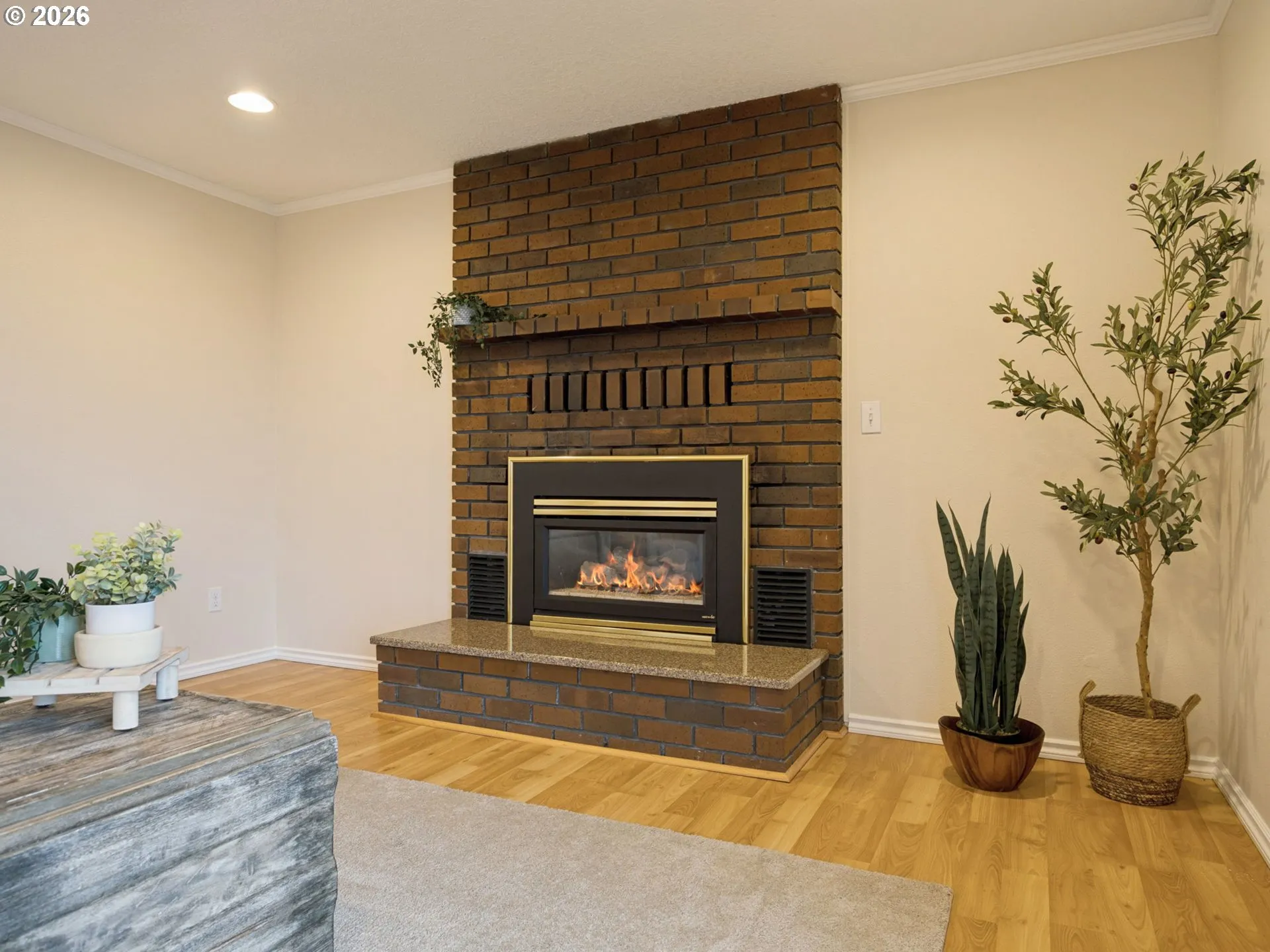 Fireplace Gas