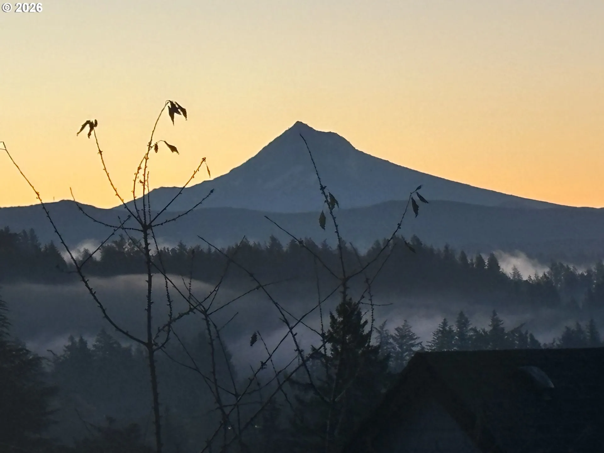 View-Mountain