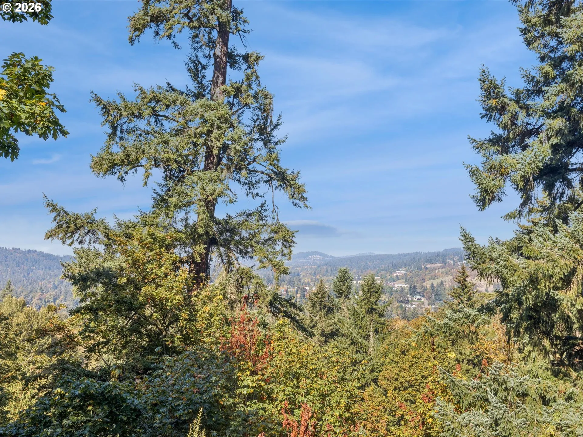 View-Valley