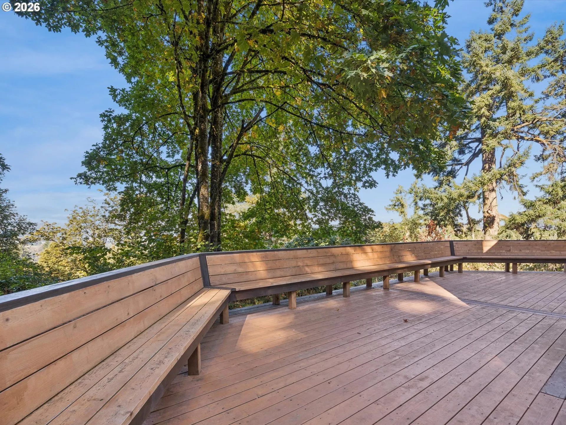 Deck-Main