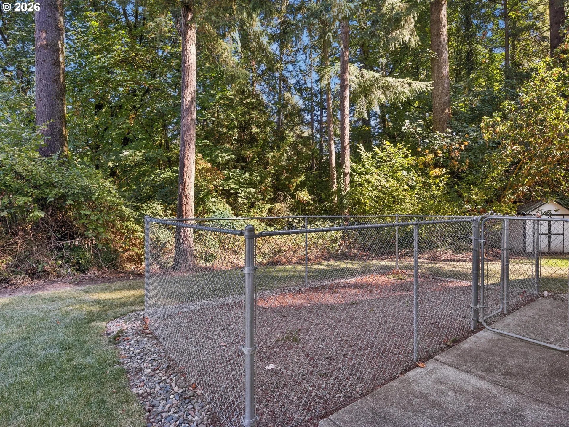 Dog Run