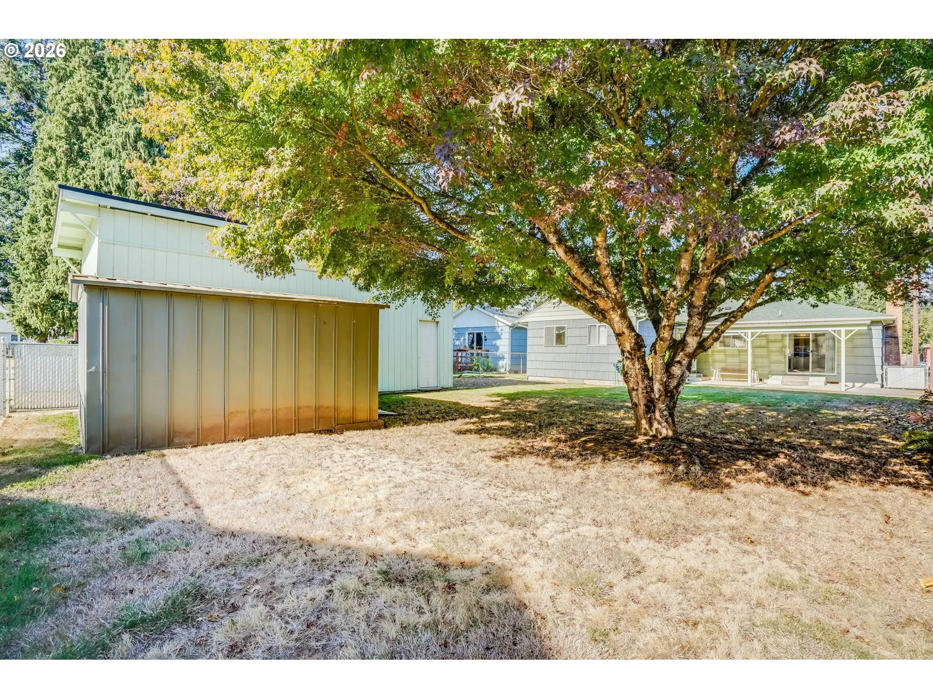Backyard