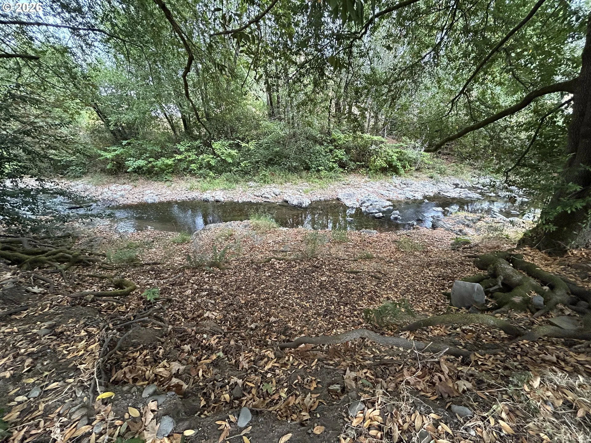 Creek-Year Round